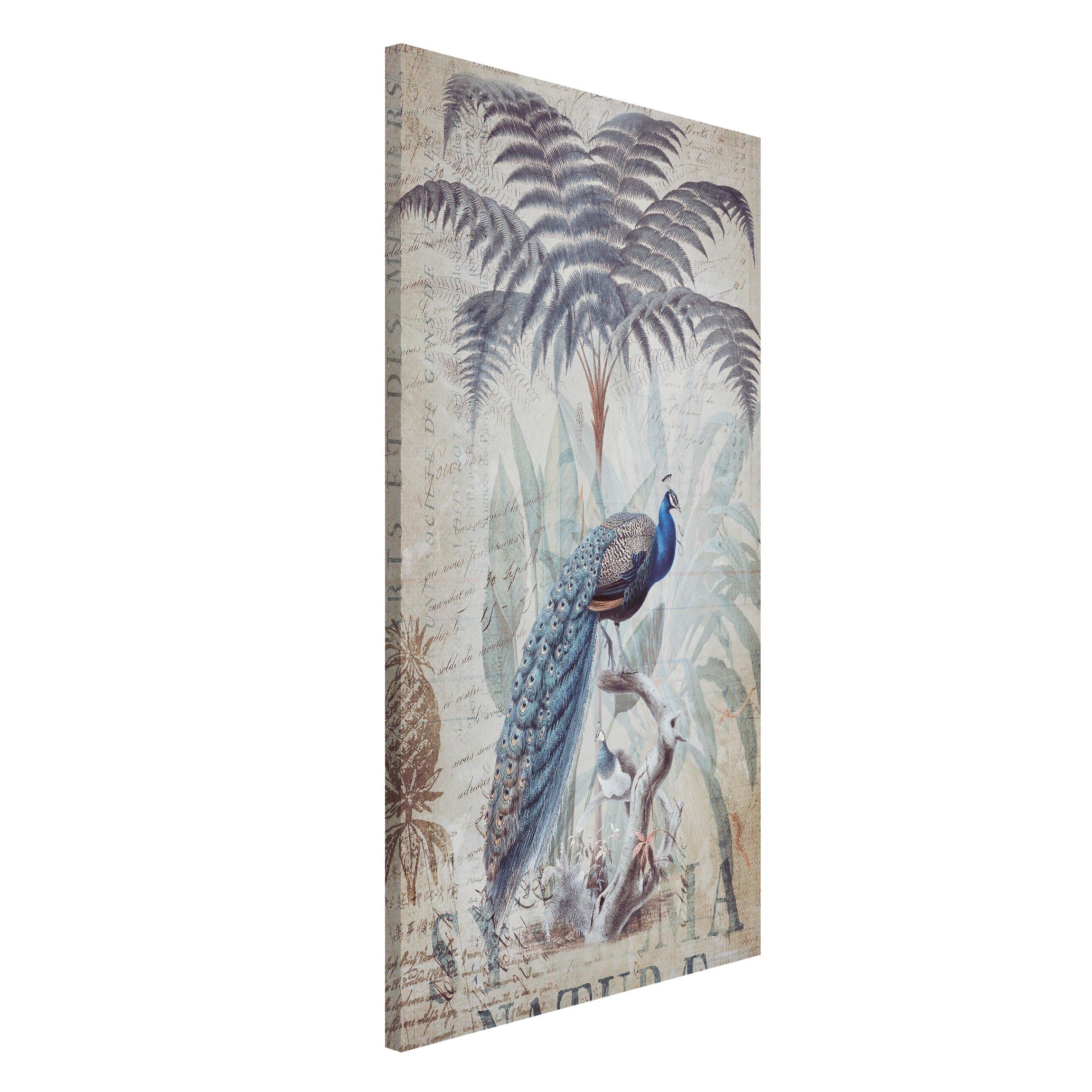 Magnettafel Shabby Chic Collage - Pfau