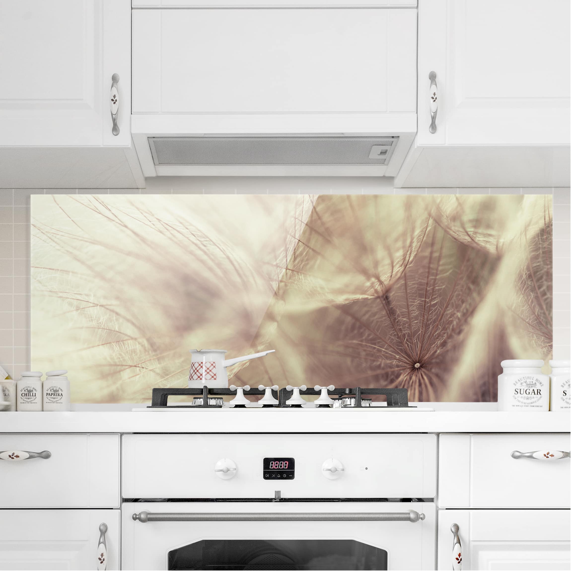 Glas Spritzschutz Detailreiche Pusteblumen Makroaufnahme mit Vintage Blur Effekt