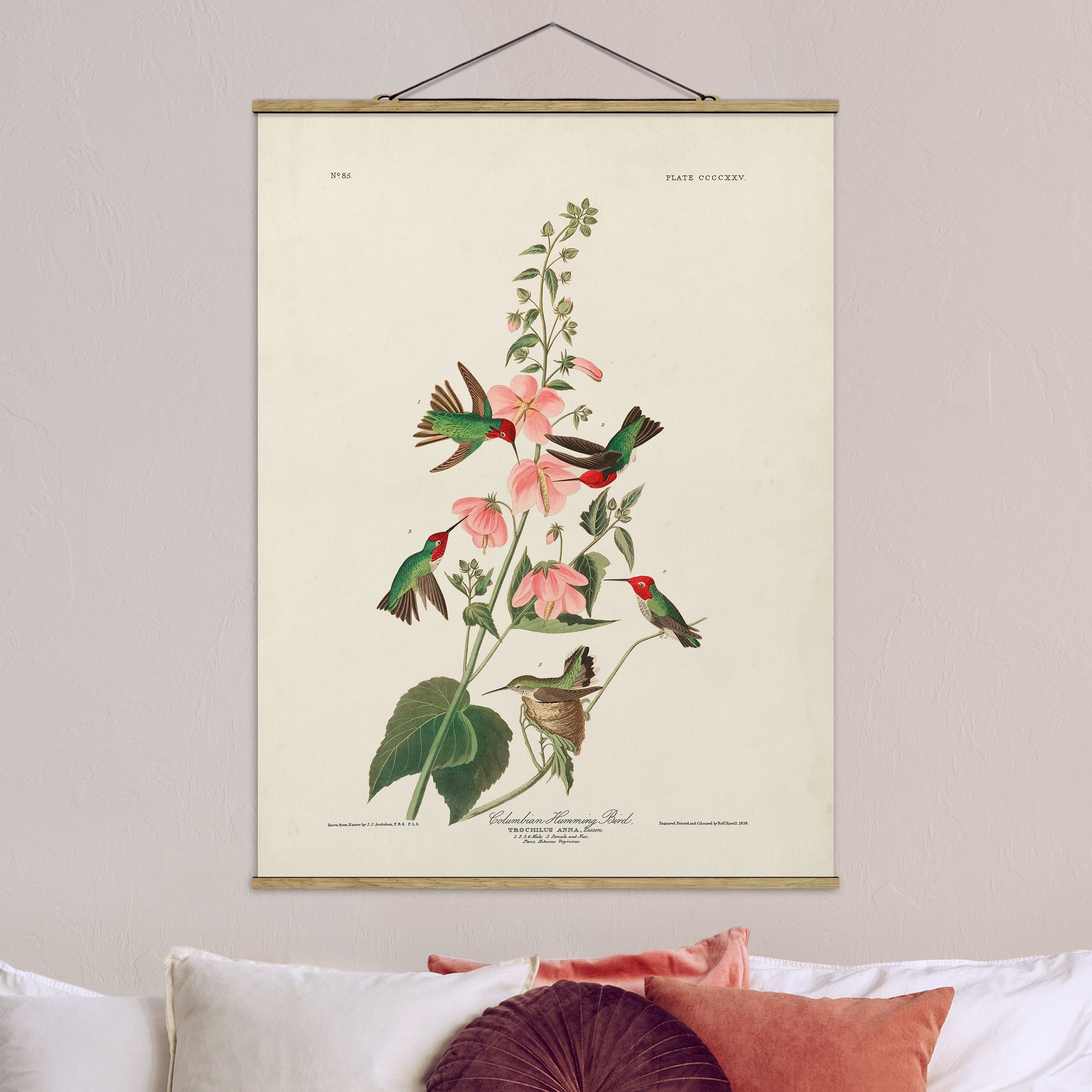 Stoffbild mit Posterleisten Vintage Lehrtafel Kolumbianische Kolibris