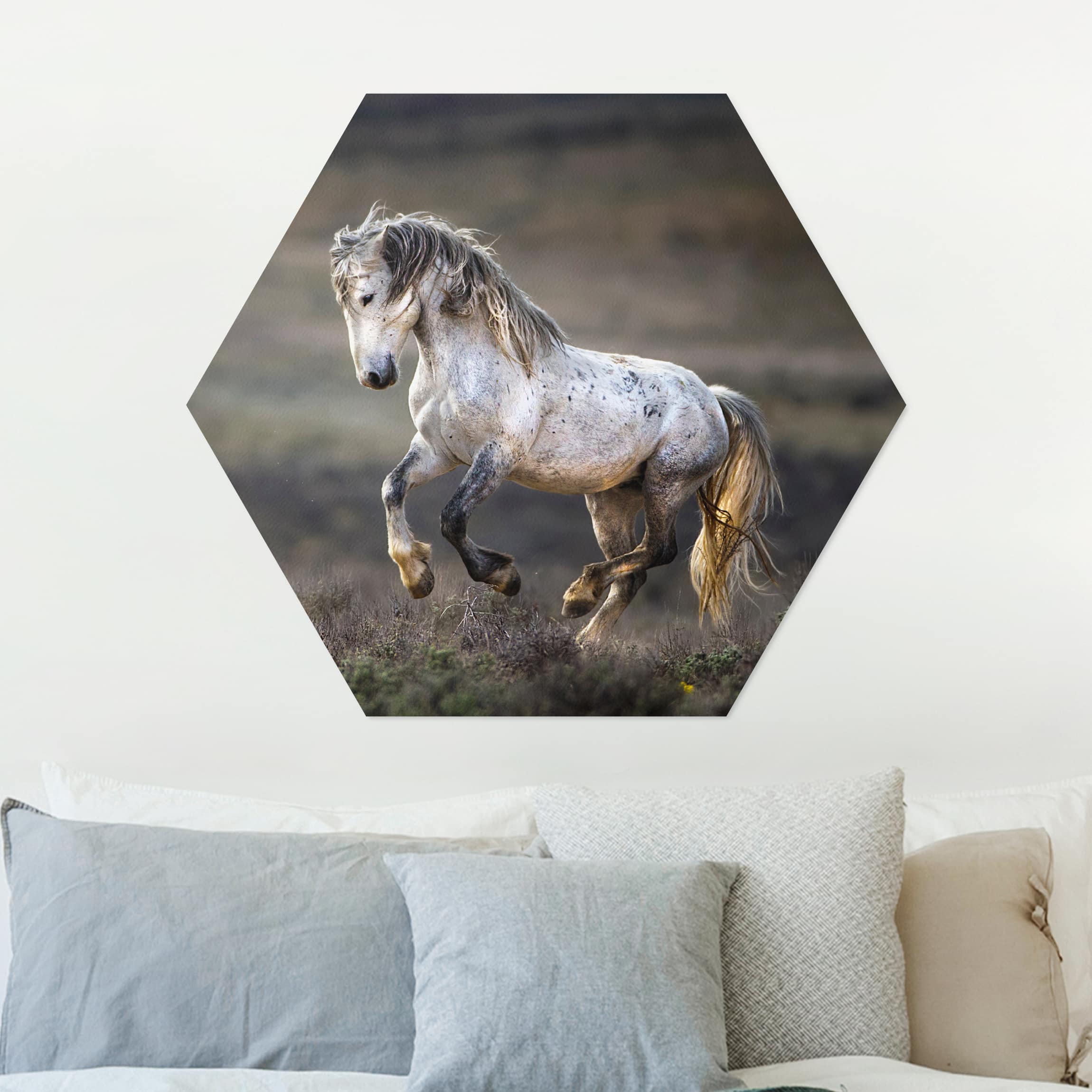 Hexagon-Alu-Dibond Bild Im Galopp durch die Heide