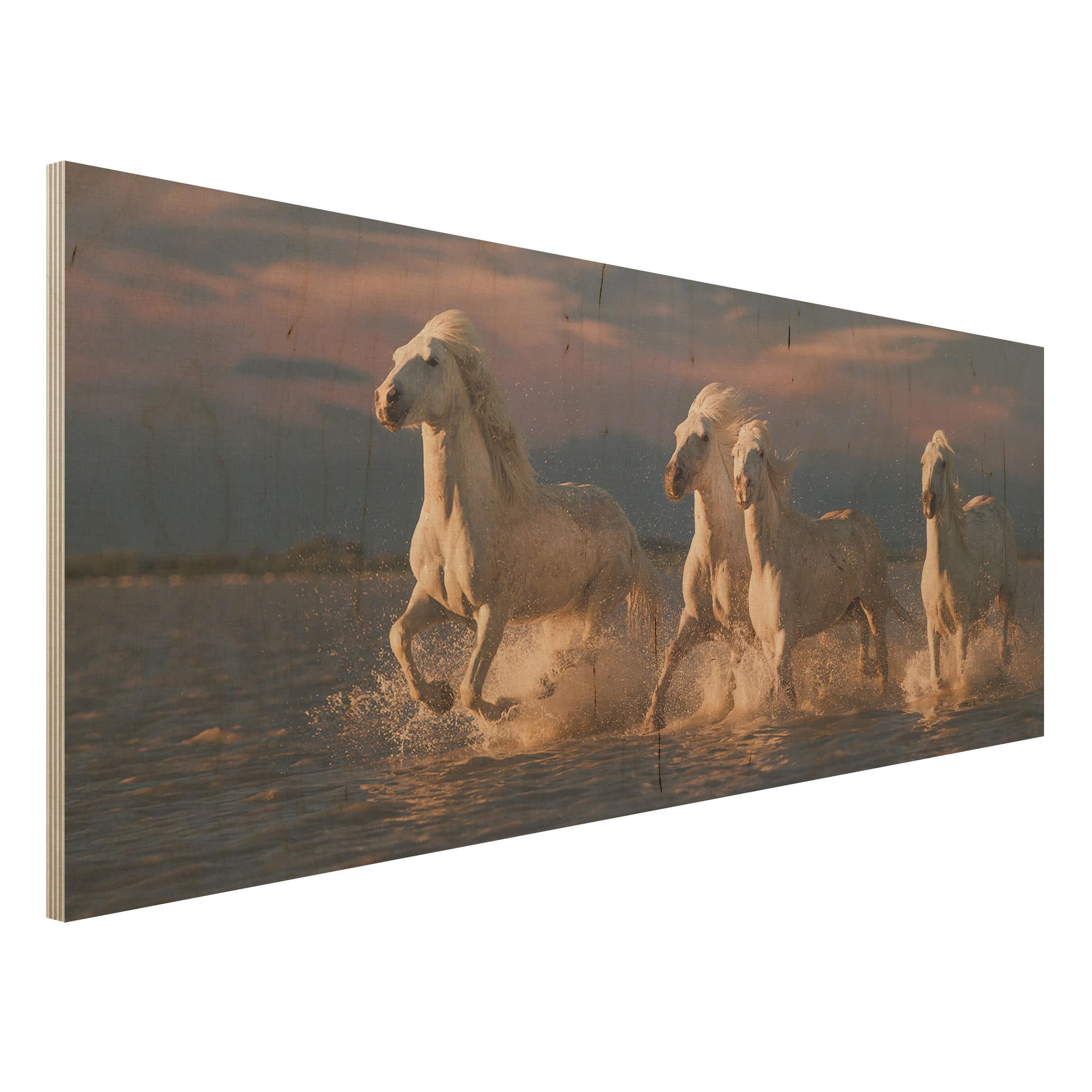 Holzbild Tiere Wilde Pferde in Kamargue