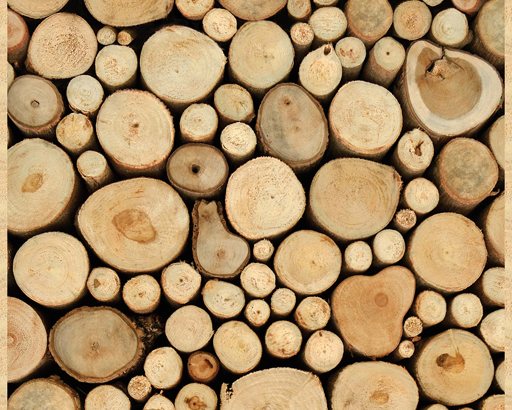 Mustertapete Livingwalls Pop.up Panel 2 in Beige Braun - 300701