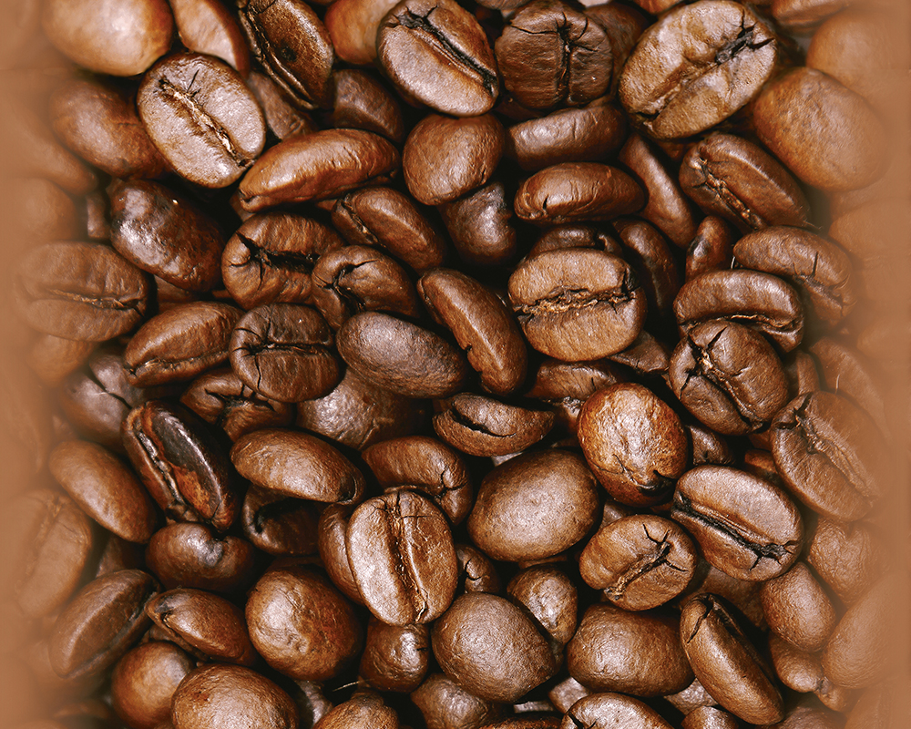 Mustertapete Livingwalls Pop.up Panel 2 in Braun - 300731