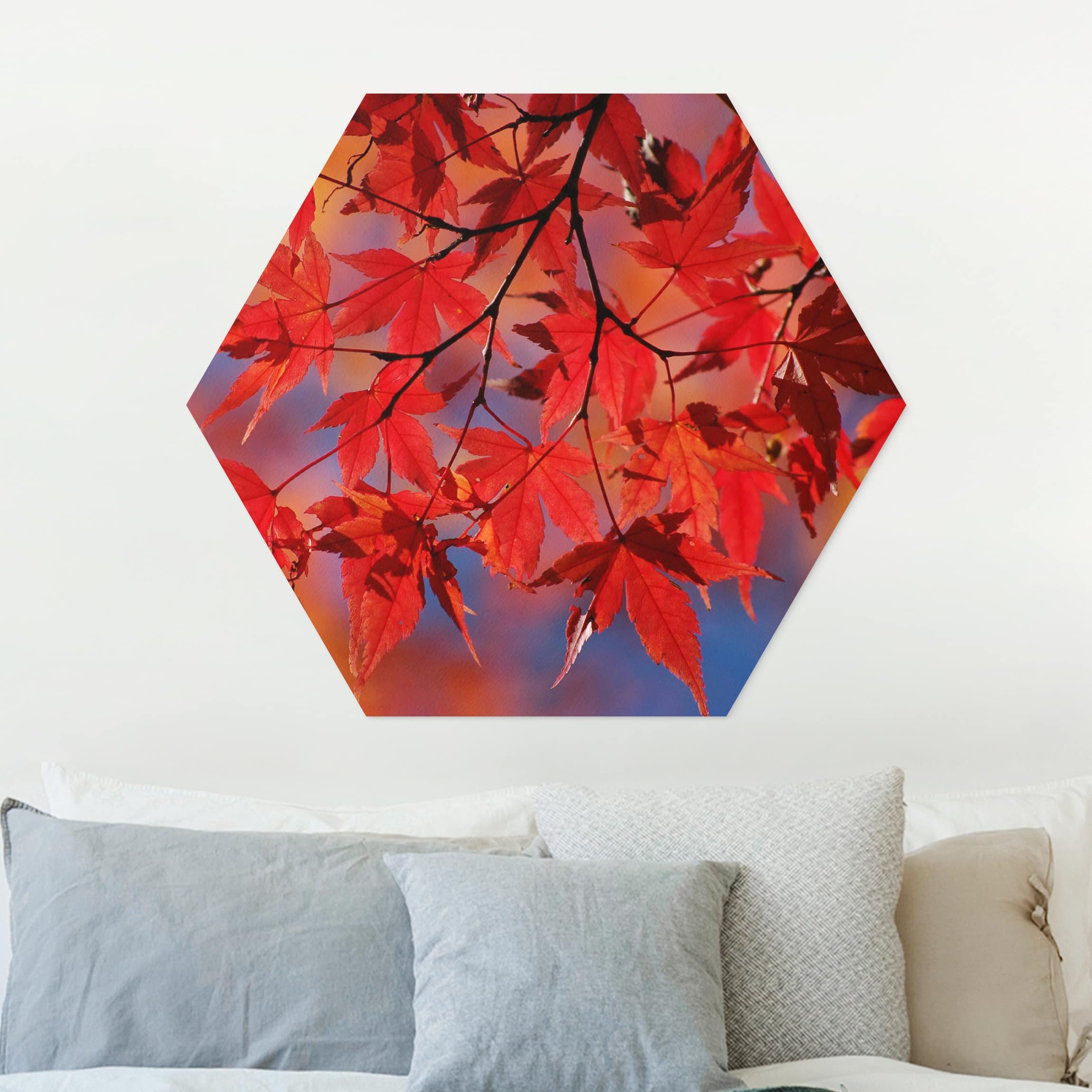 Hexagon-Forexbild Red Maple
