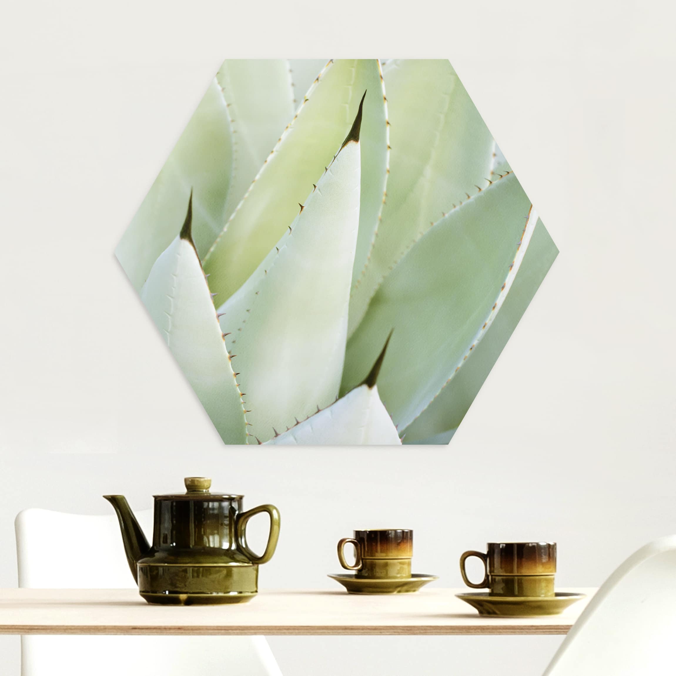 Hexagon-Alu-Dibond Bild Aloe