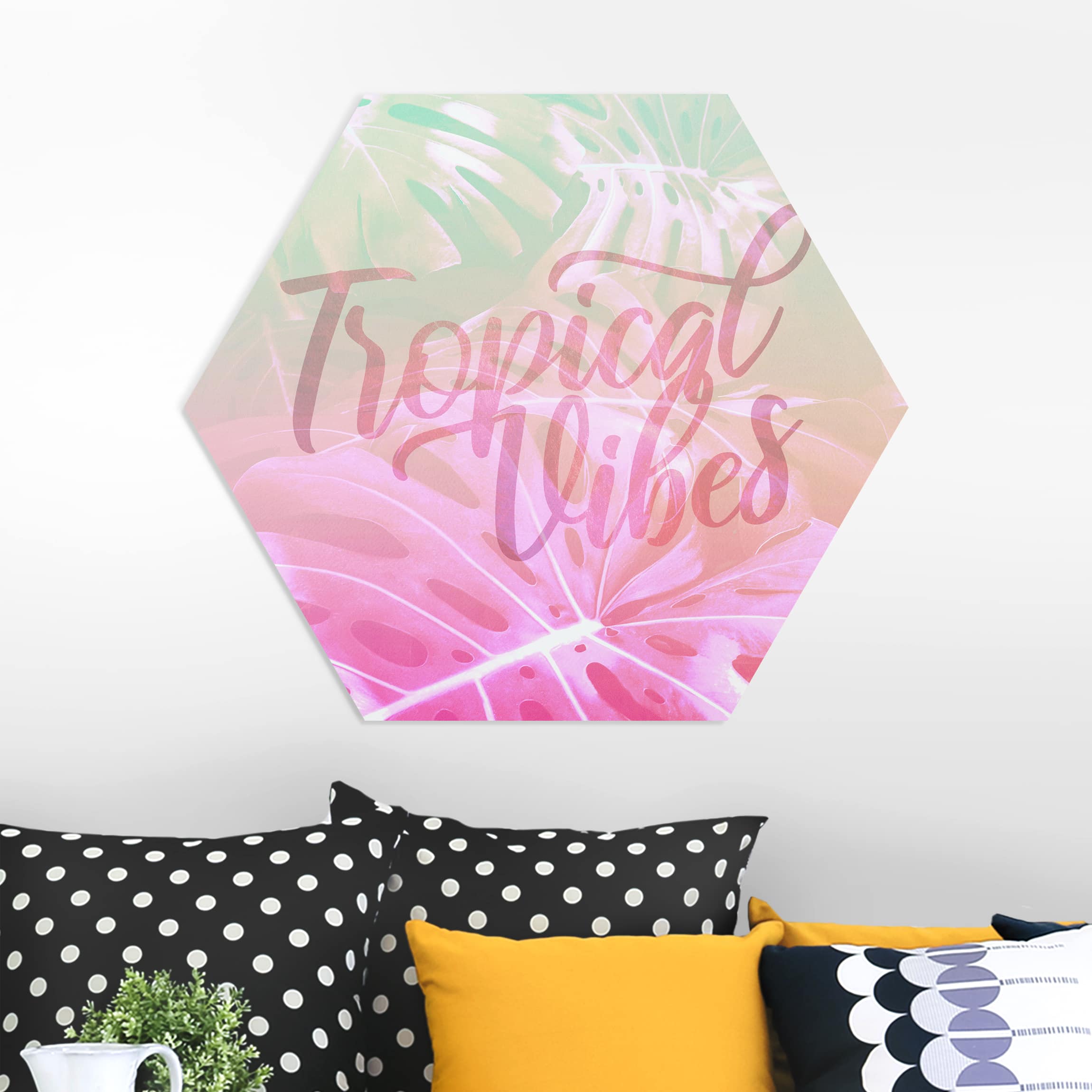 Hexagon-Forexbild Rainbow - Tropical Vibes