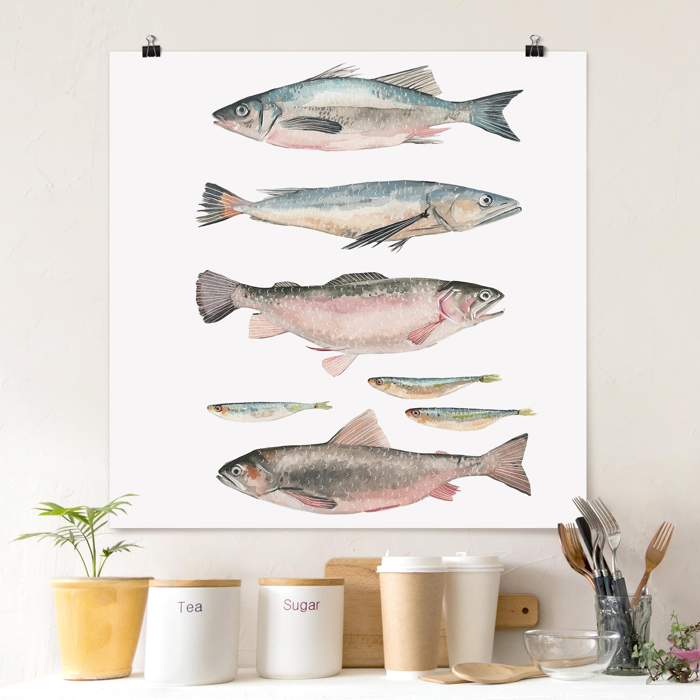 Poster Tiere - Quadrat Sieben Fische in Aquarell I