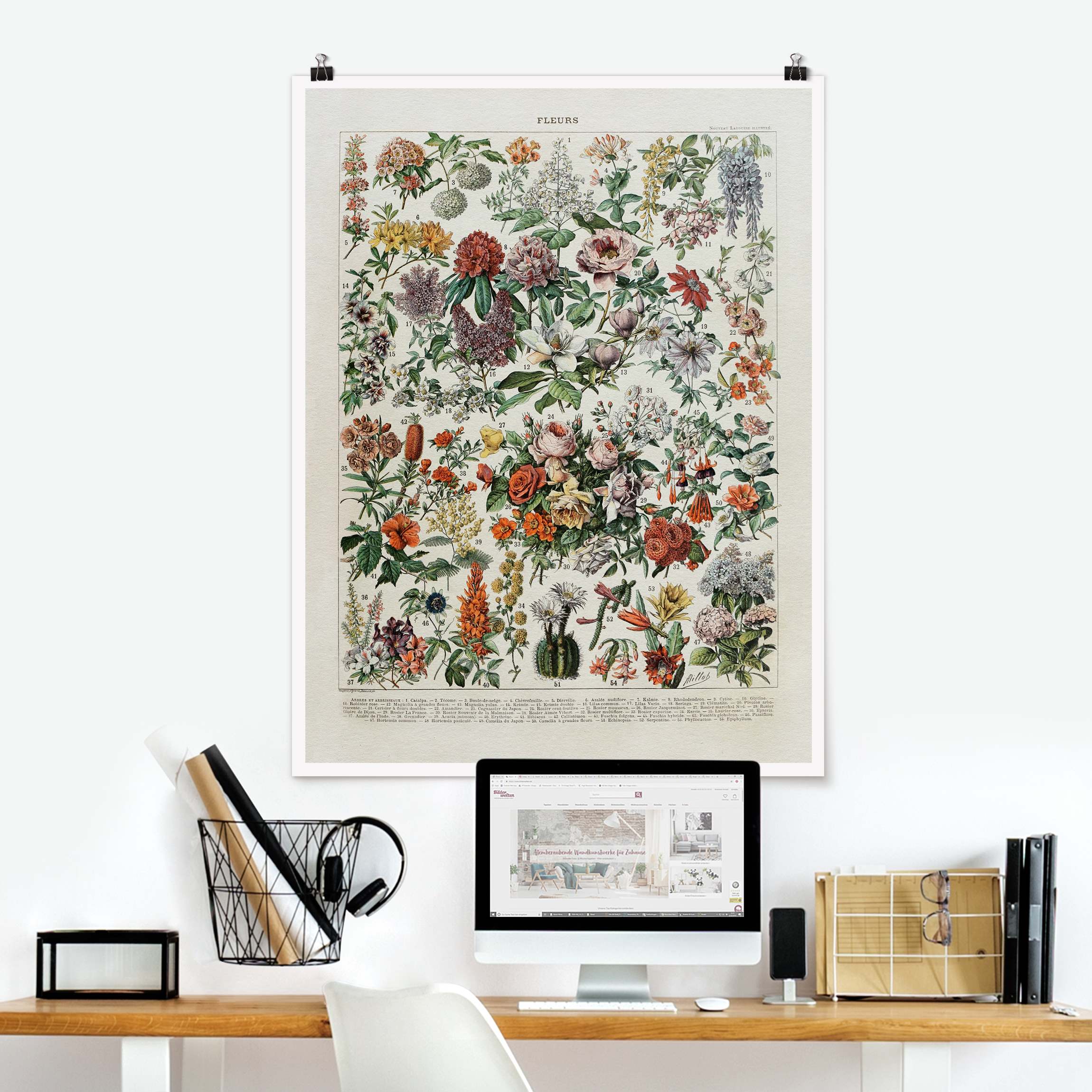 Poster Vintage Lehrtafel Blumen II