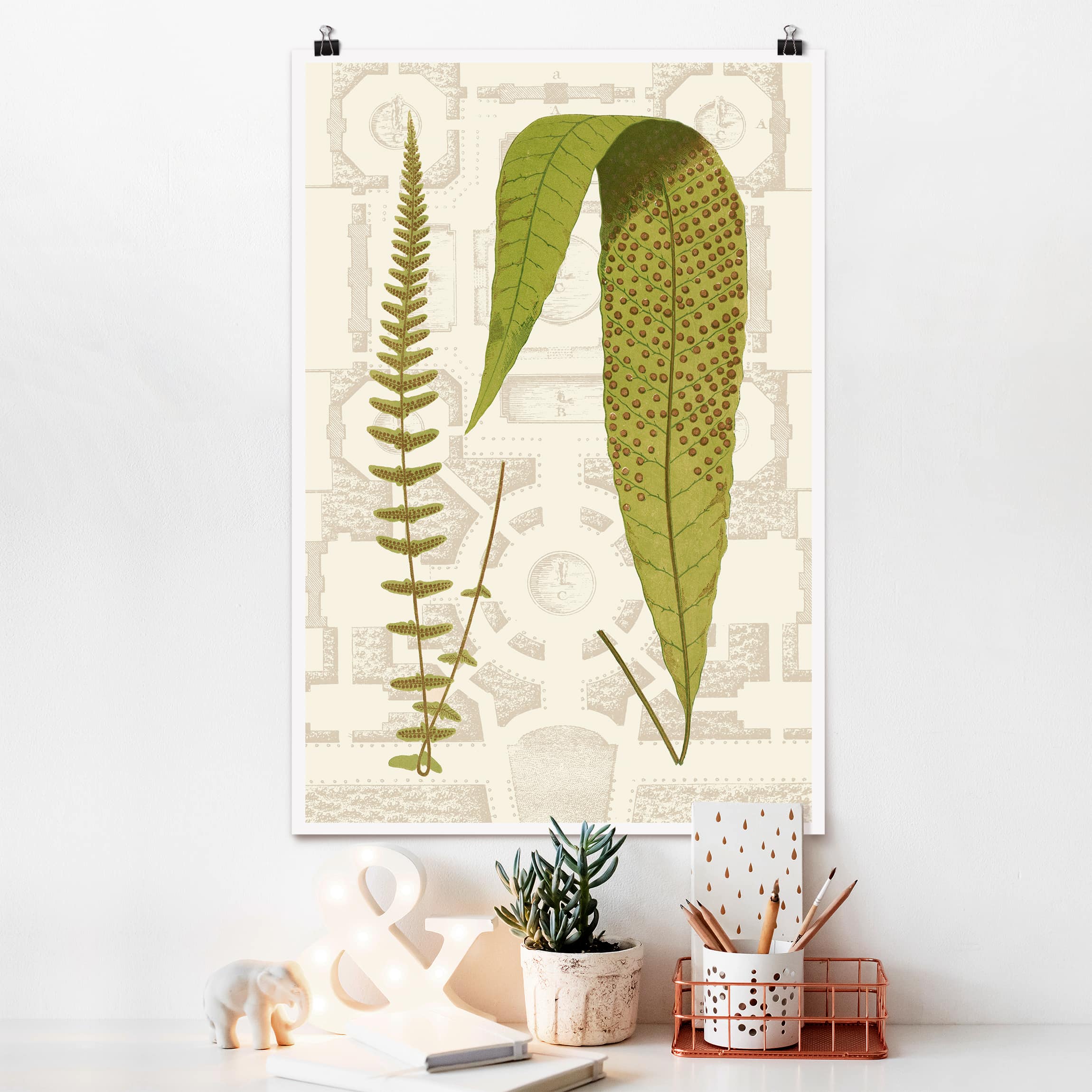 Poster - Hochformat Farne des Gartens III