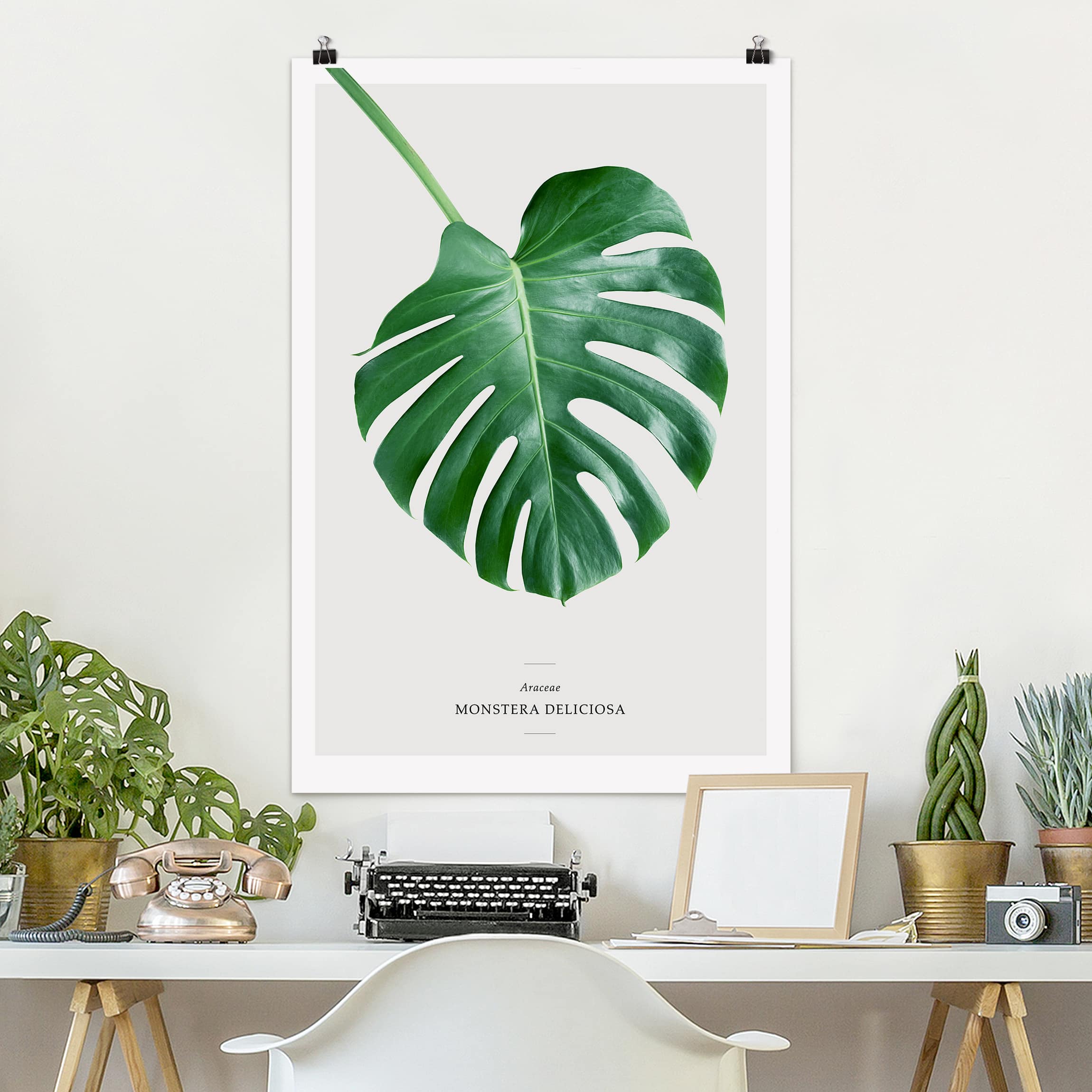 Poster - Hochformat Tropisches Blatt Monstera