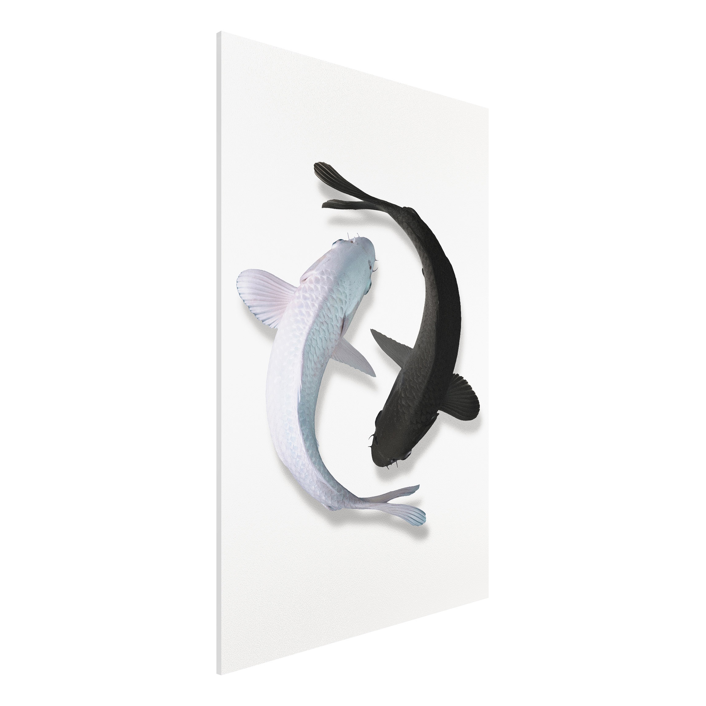 Forexbild - Hochformat Fische Ying & Yang