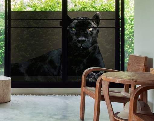 Fensterfolie Black Puma