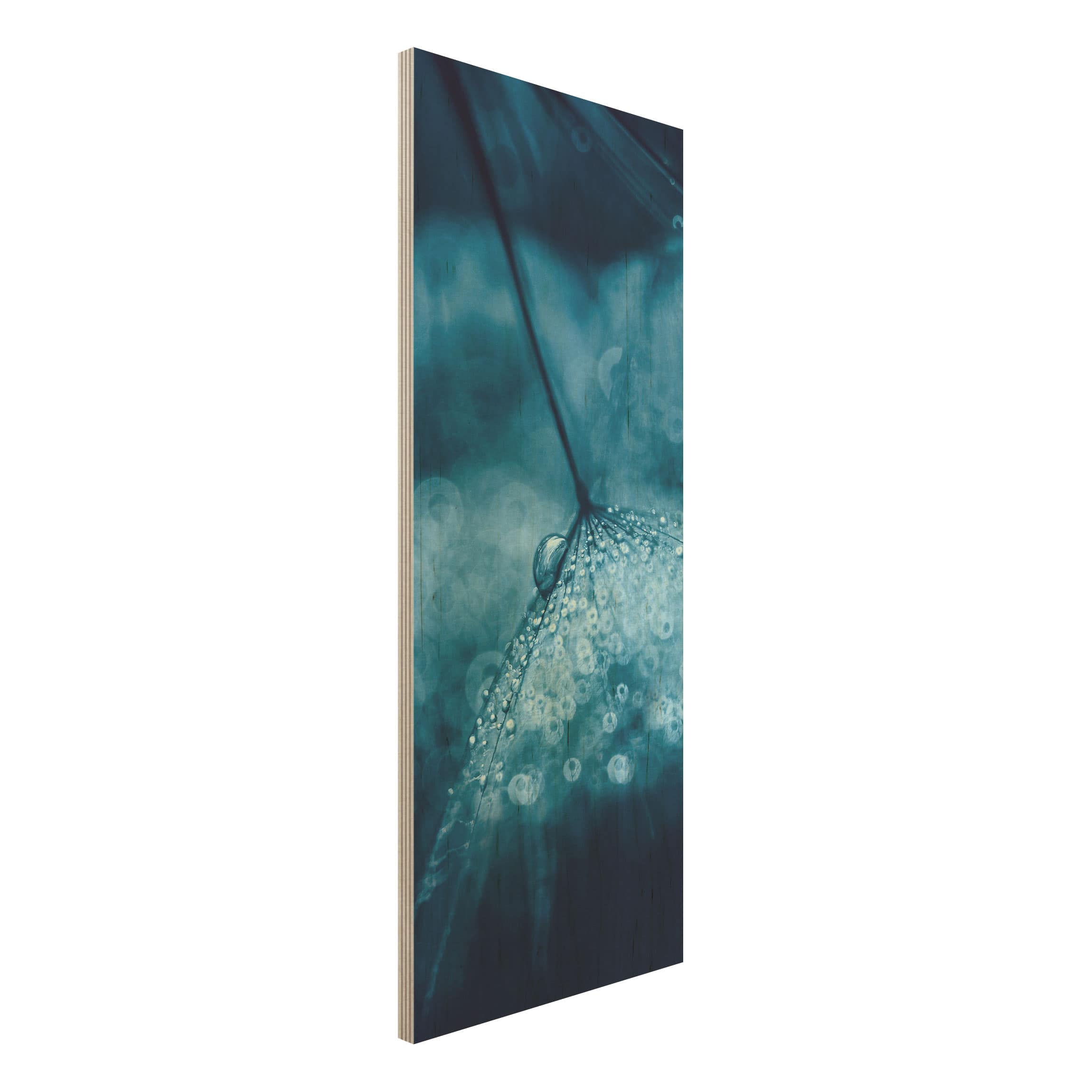 Holzbild Blumen Blaue Pusteblume im Regen
