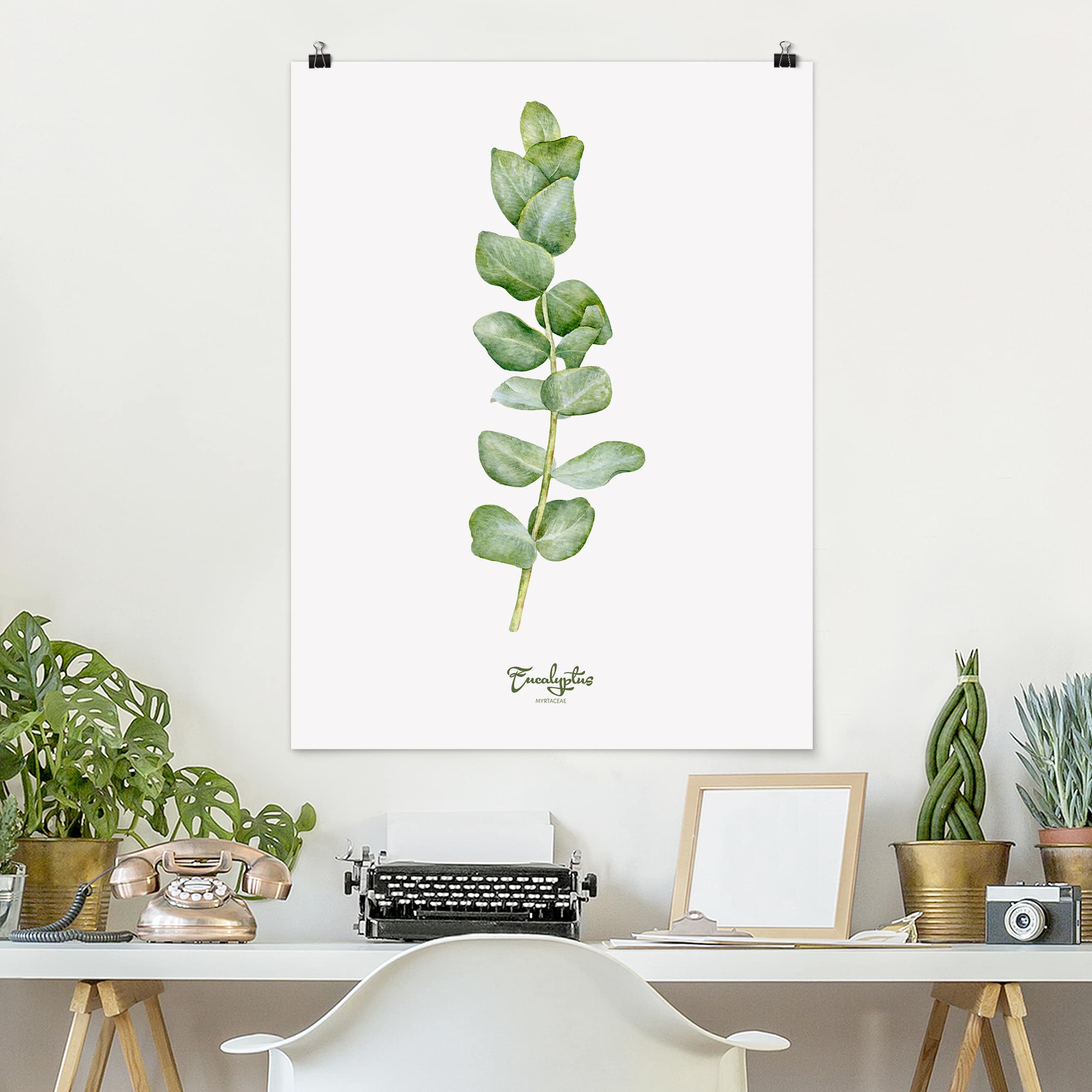 Poster - Hochformat Aquarell Botanik Eukalyptus
