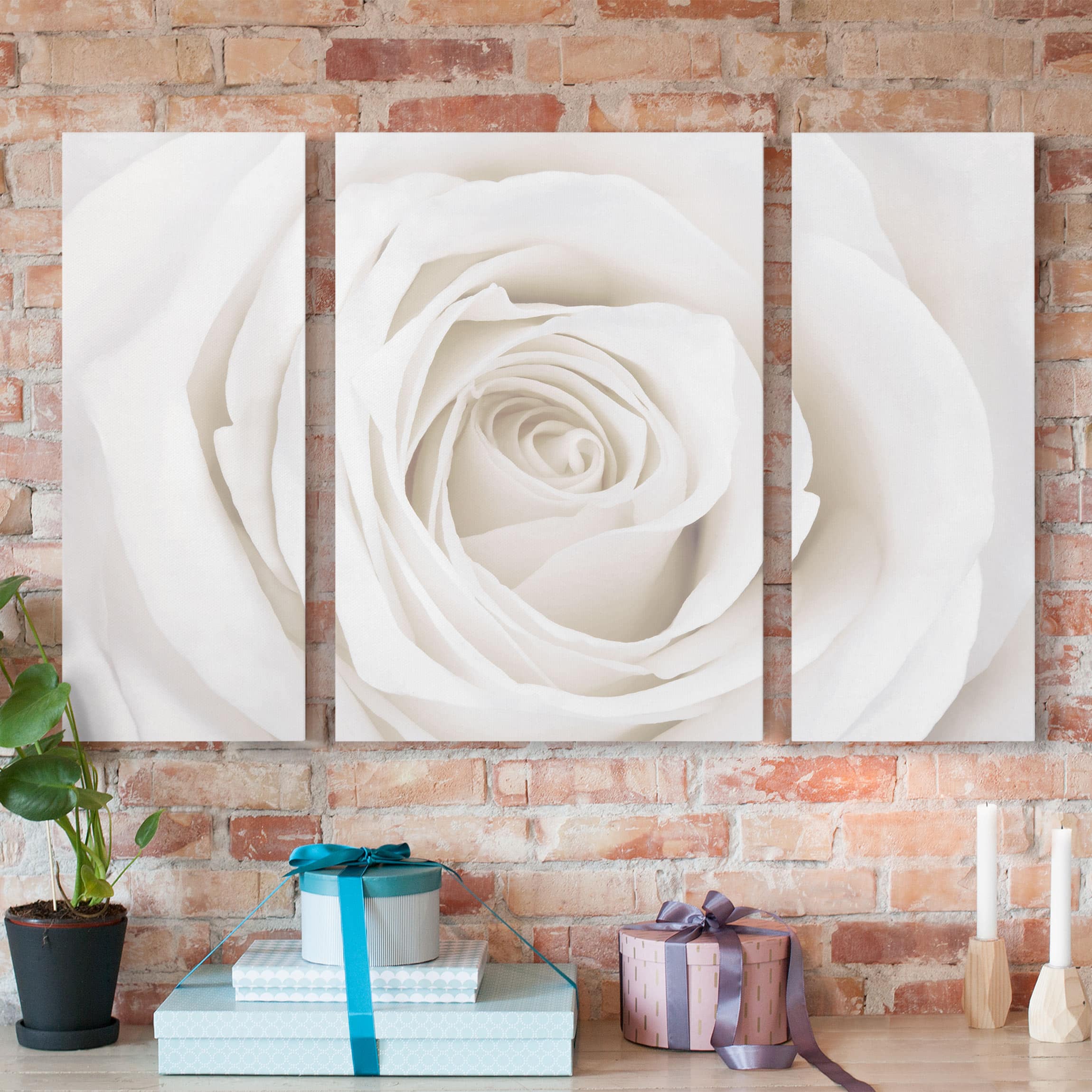 3-teiliges Leinwandbild Blumen Pretty White Rose