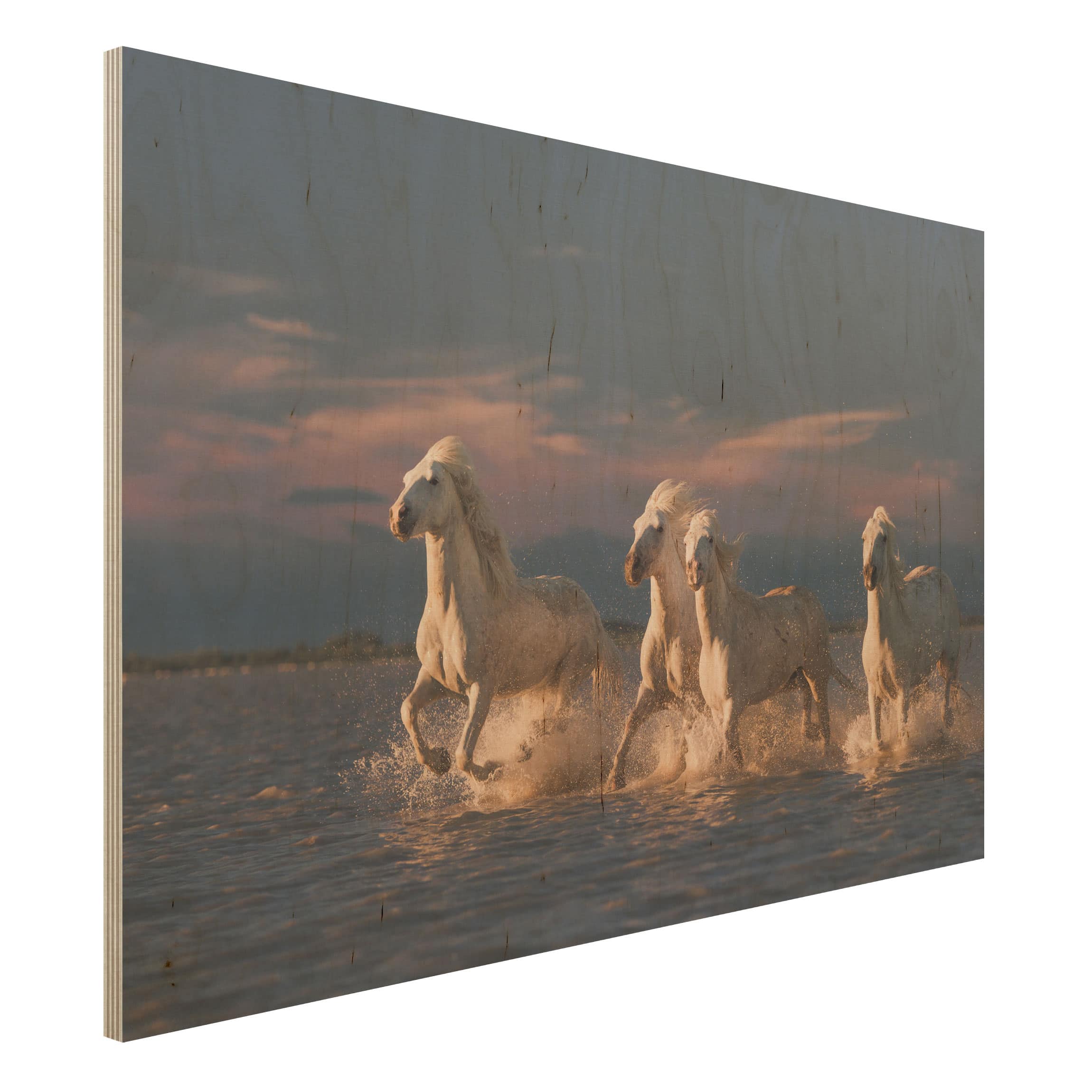 Holzbild - Querformat 3:2 Wilde Pferde in Kamargue
