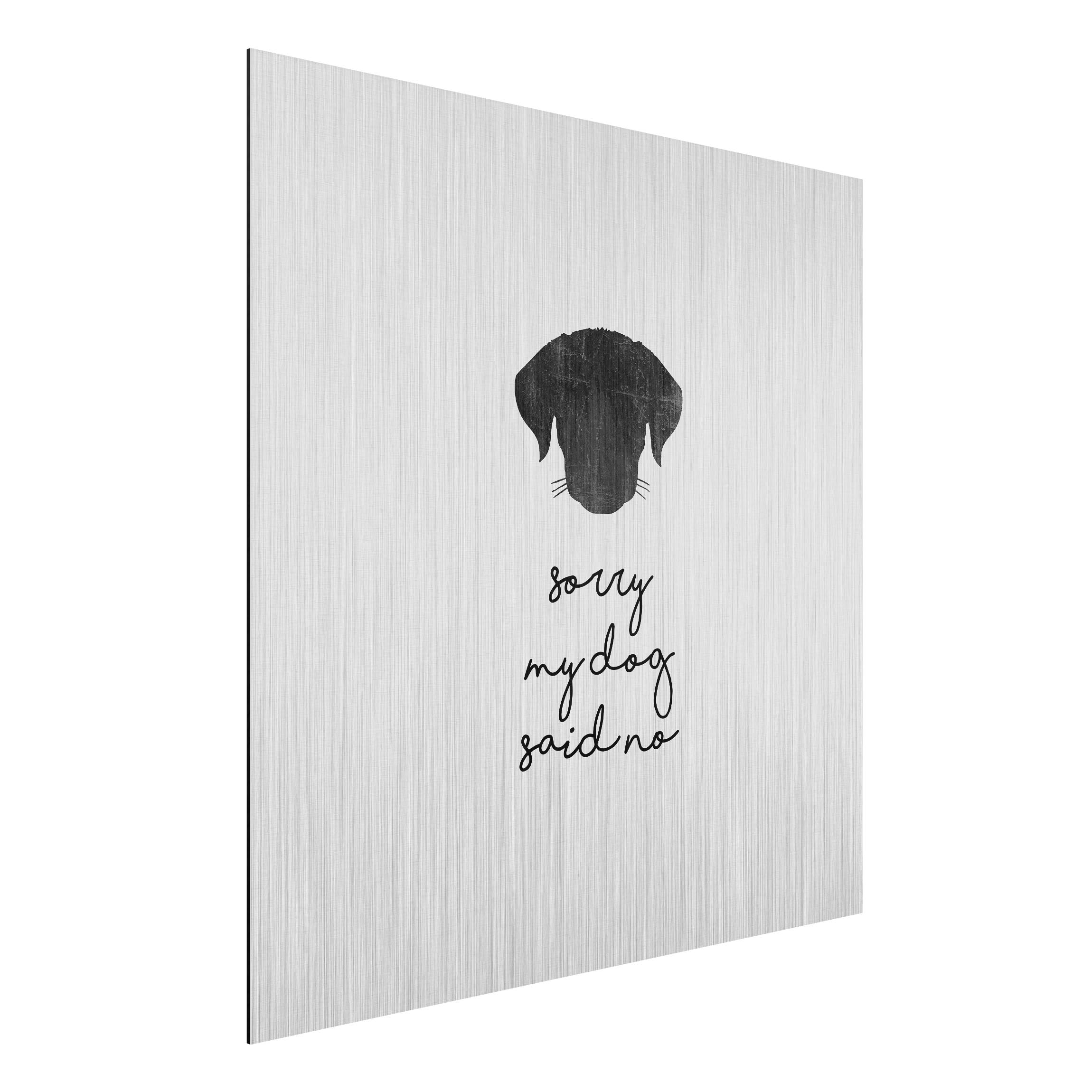 Alu-Dibond Outdoor Bild Haustier Zitat Sorry My Dog Said No