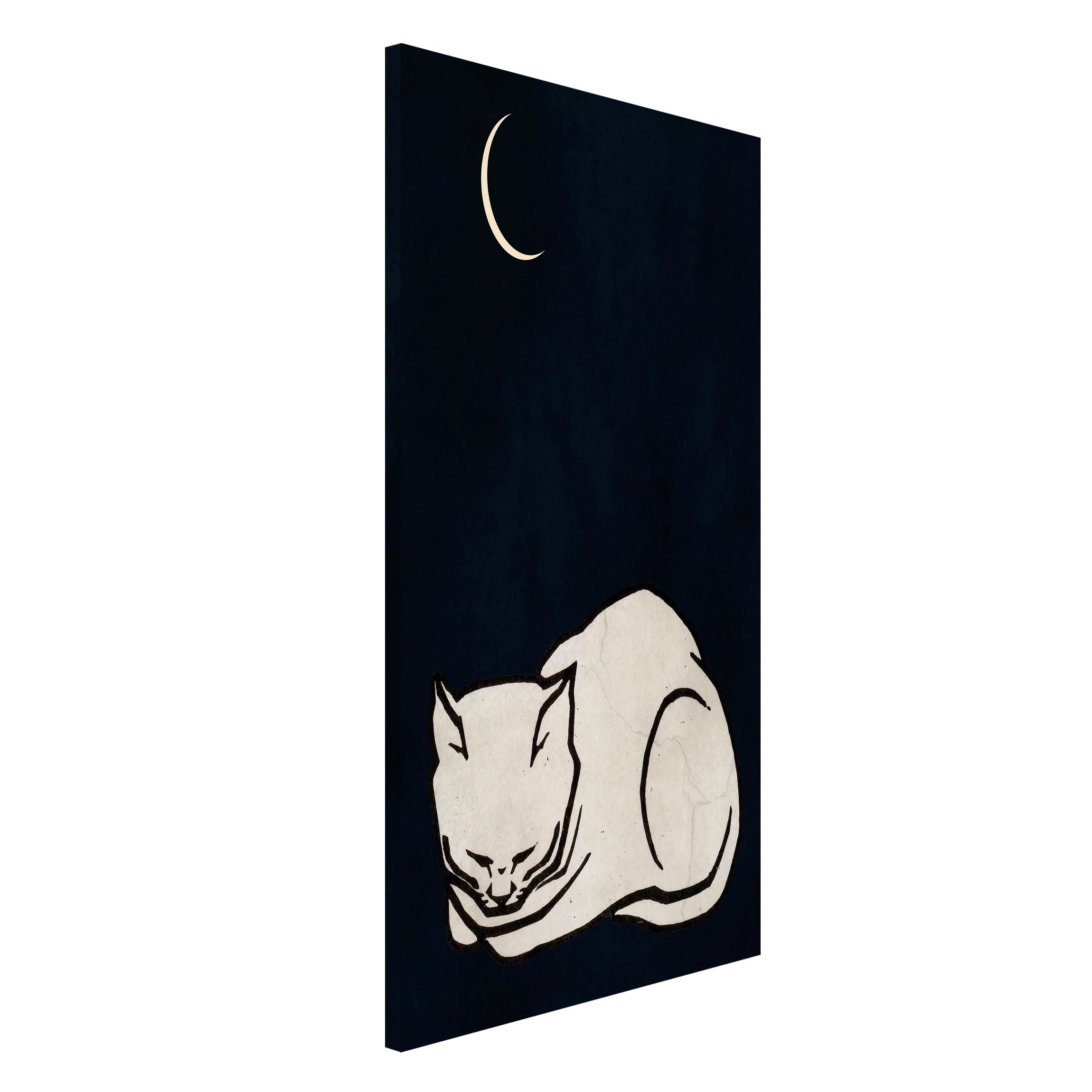 Magnettafel Schlafende Katze Illustration