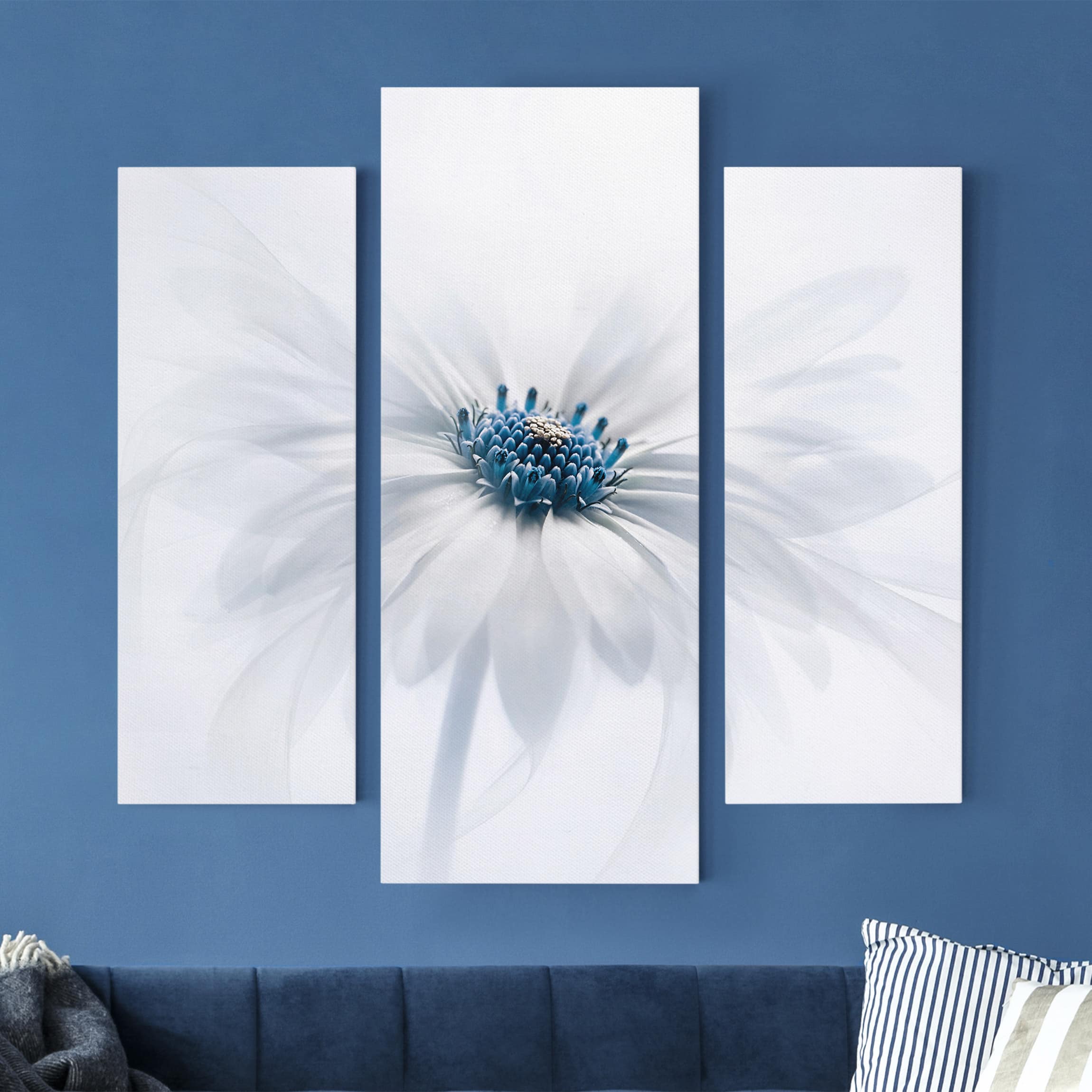 3-teiliges Leinwandbild Blumen Gänseblümchen in Blau