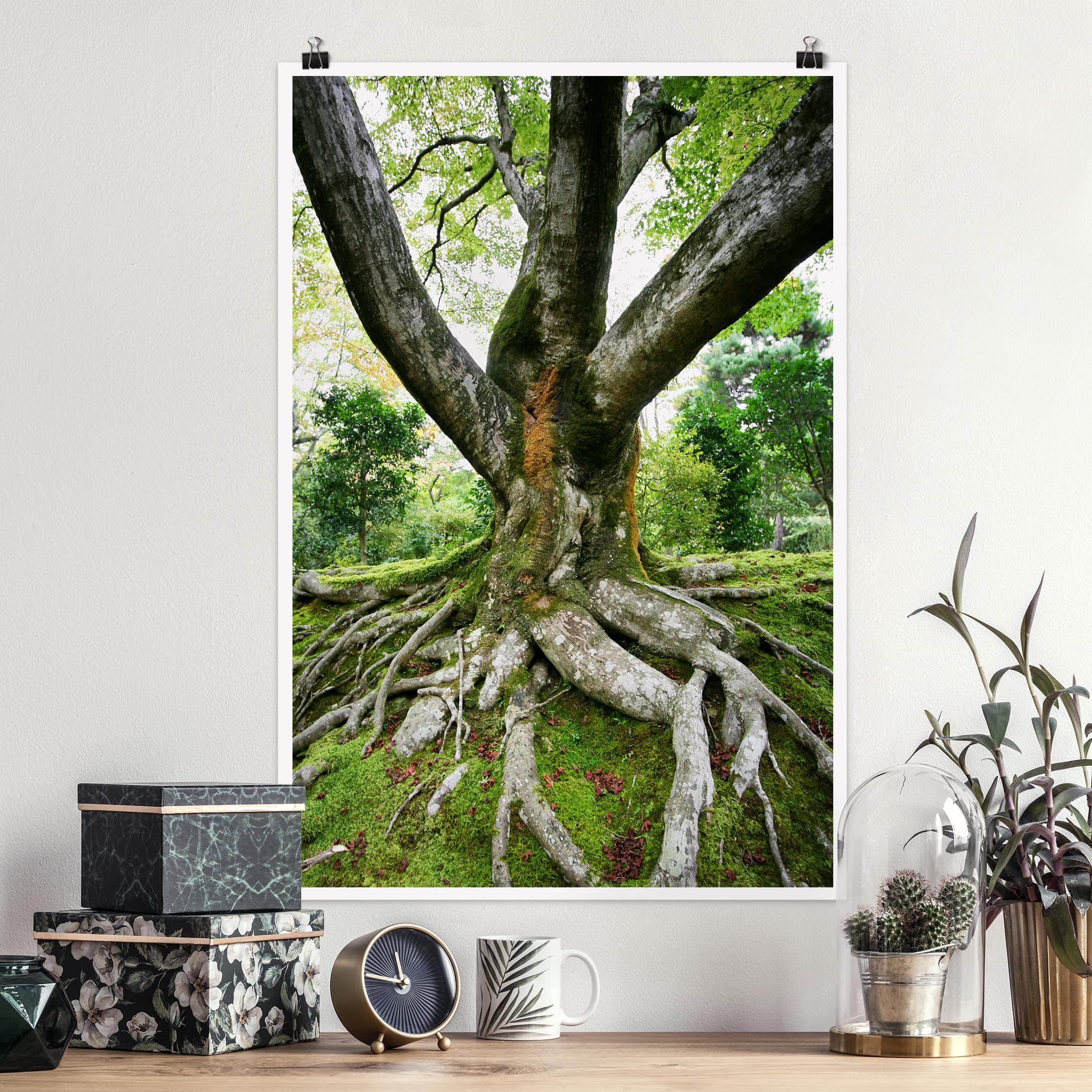 Poster - Hochformat Alter Baum