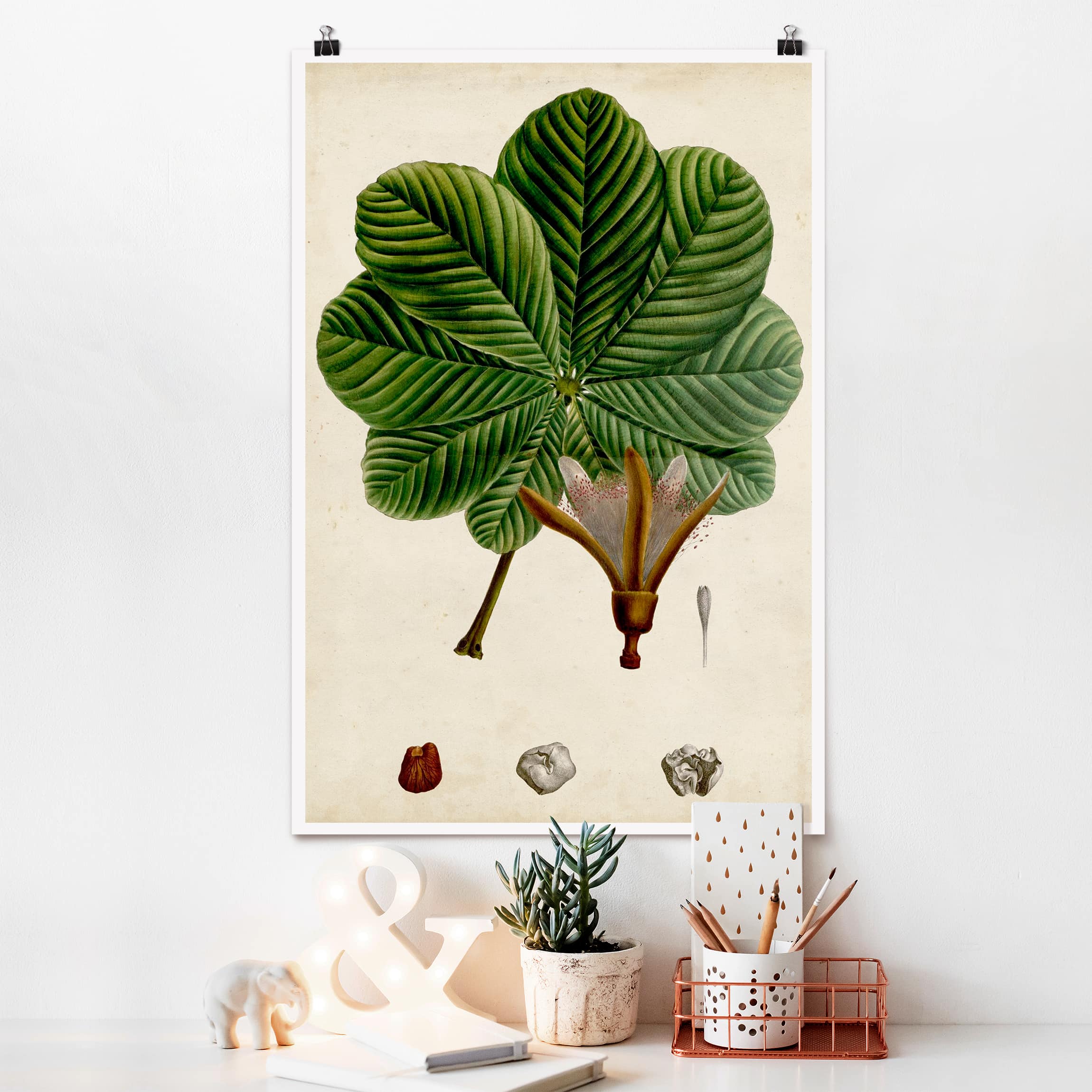 Poster - Hochformat Laubbaum Schautafel II