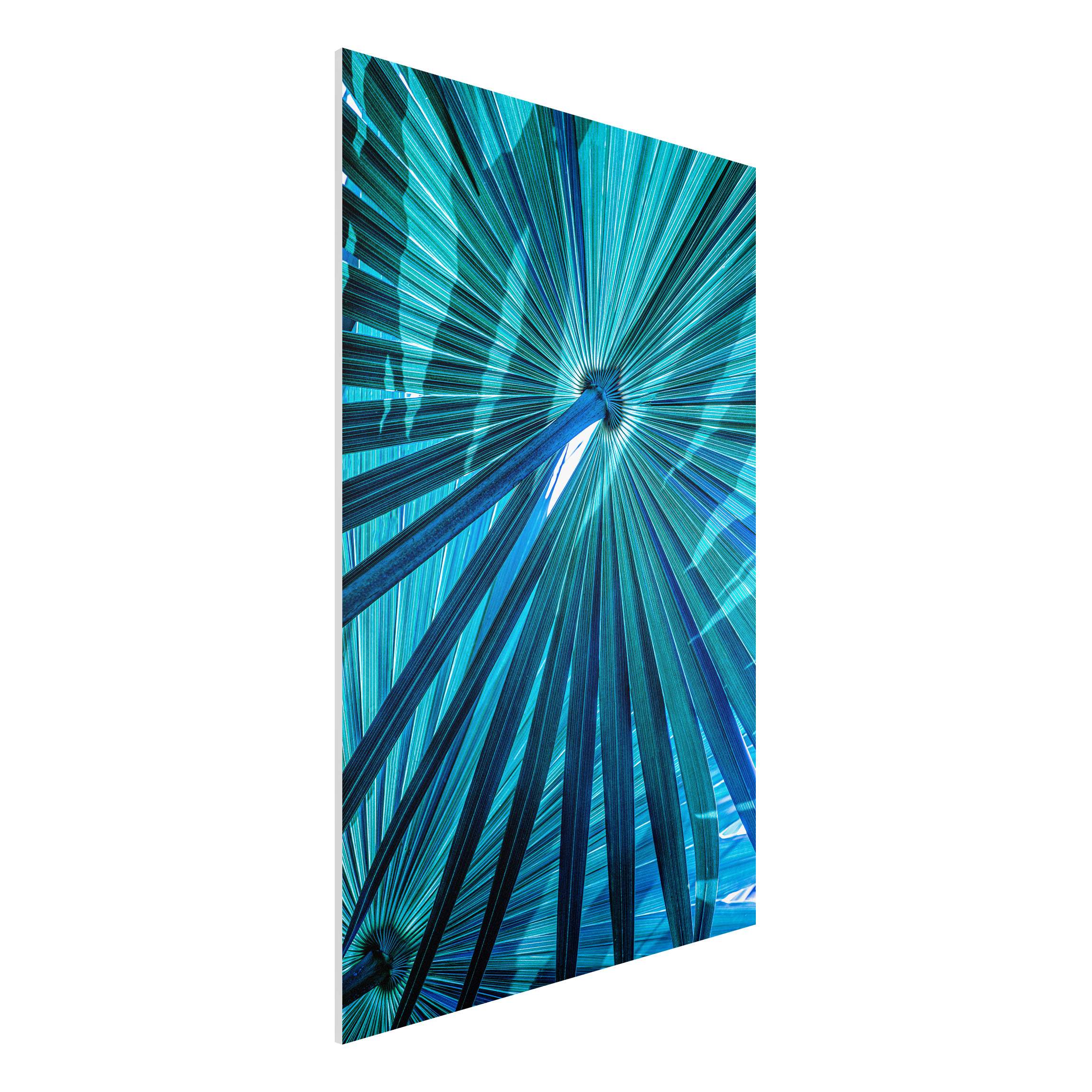 Forexbild Tropische Pflanzen Palmenblatt in Türkis