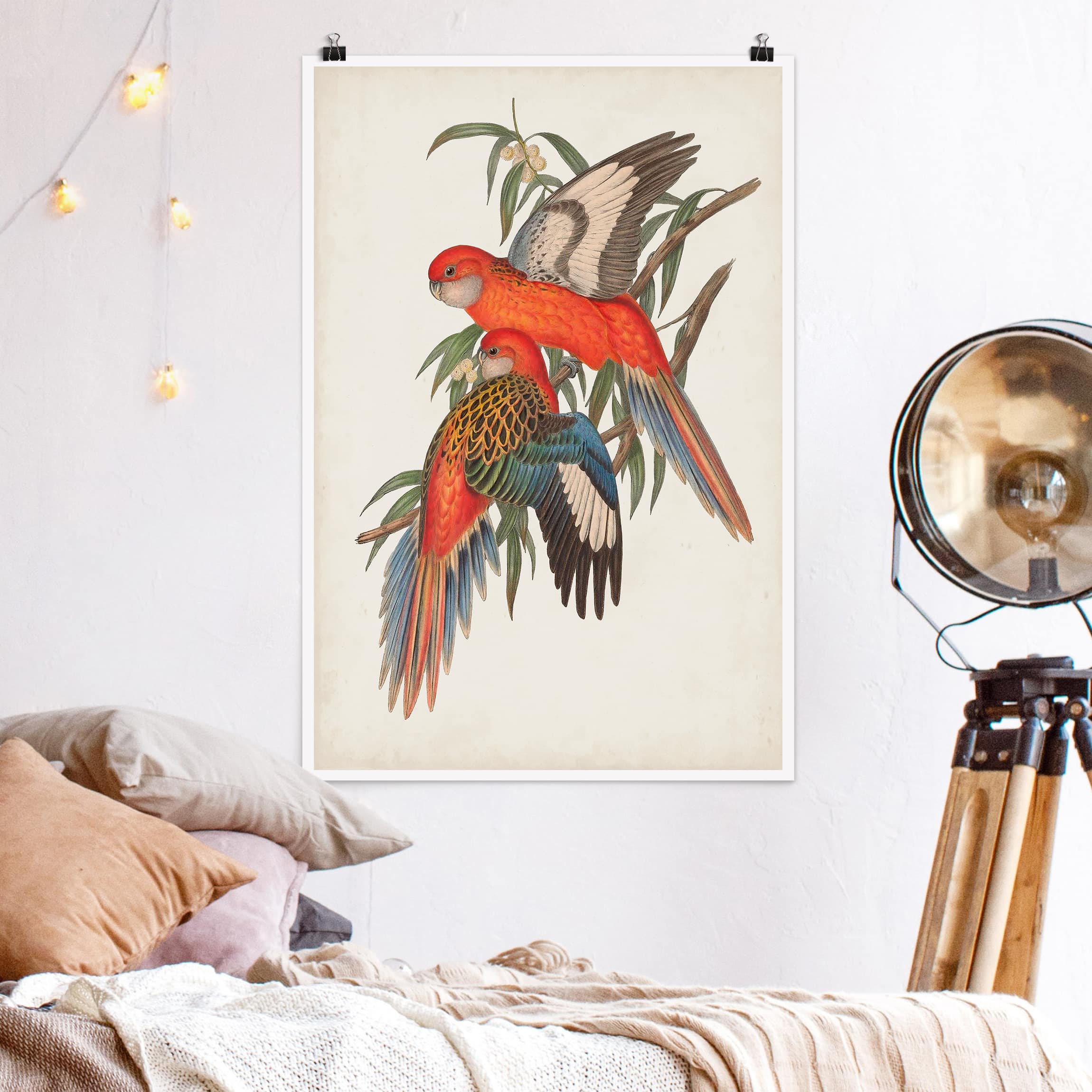 Poster - Hochformat Tropische Papageien I