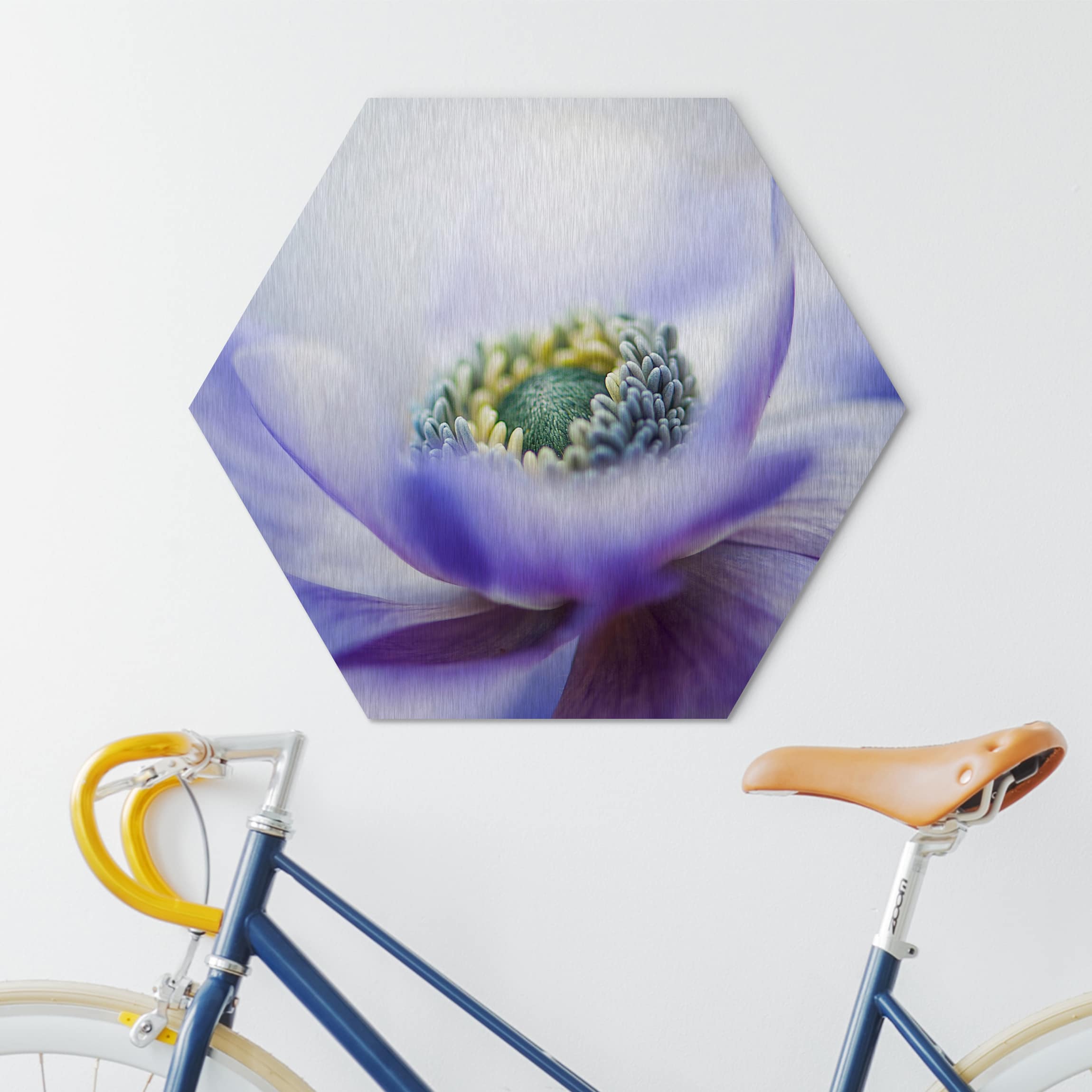 Hexagon-Alu-Dibond Bild Anemone De Caen