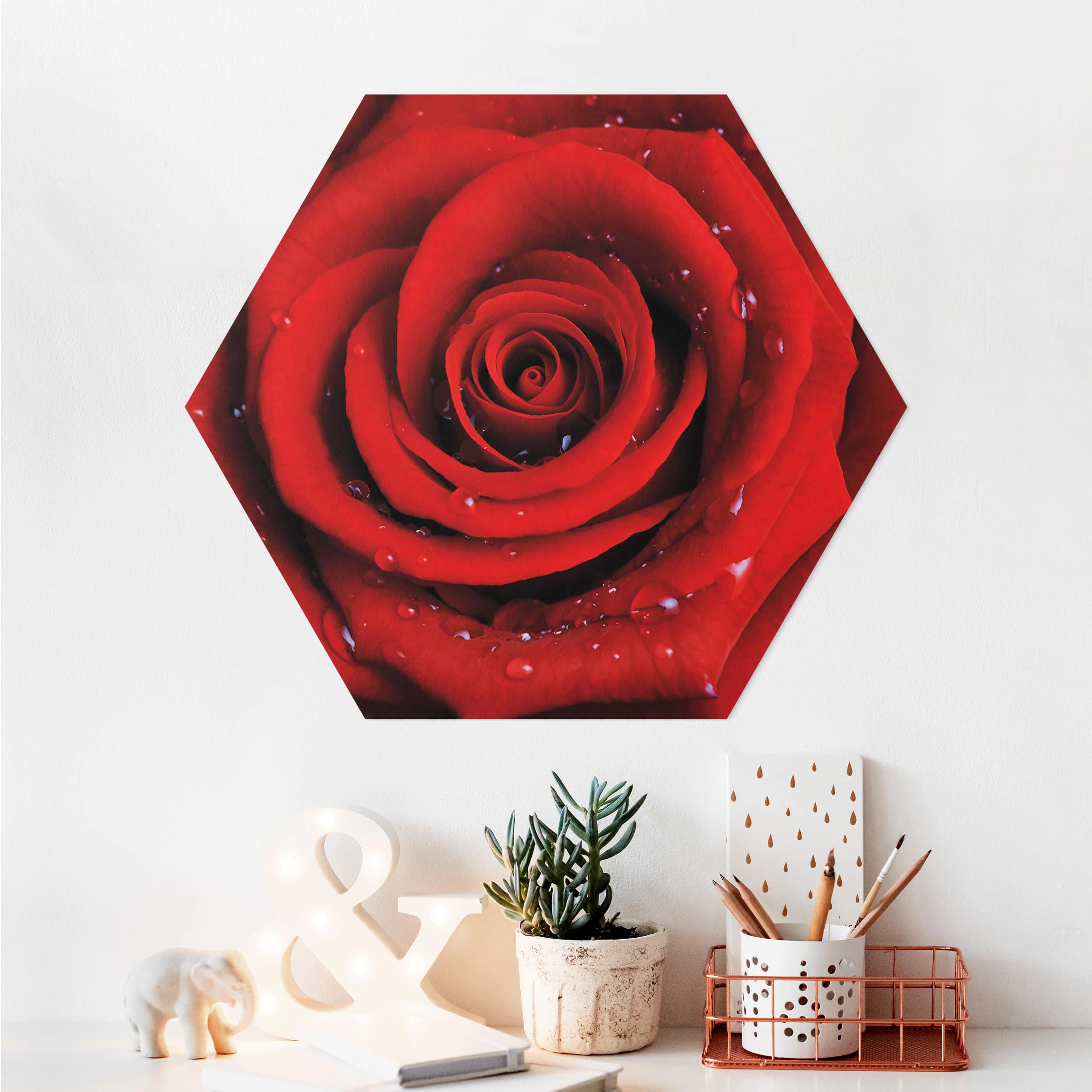 Hexagon-Alu-Dibond Bild Rote Rose mit Wassertropfen