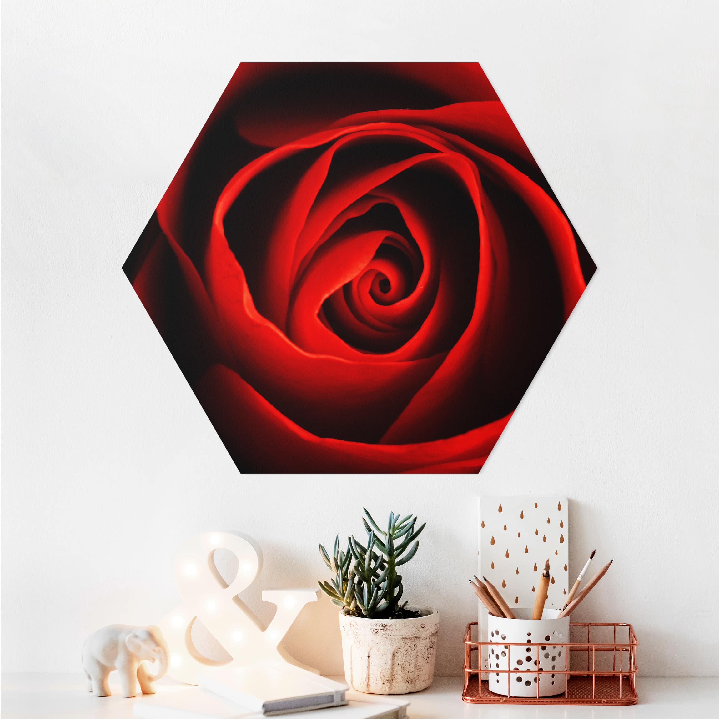 Hexagon-Alu-Dibond Bild Liebliche Rose