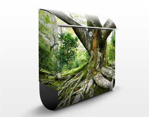 Briefkasten Alter Baum
