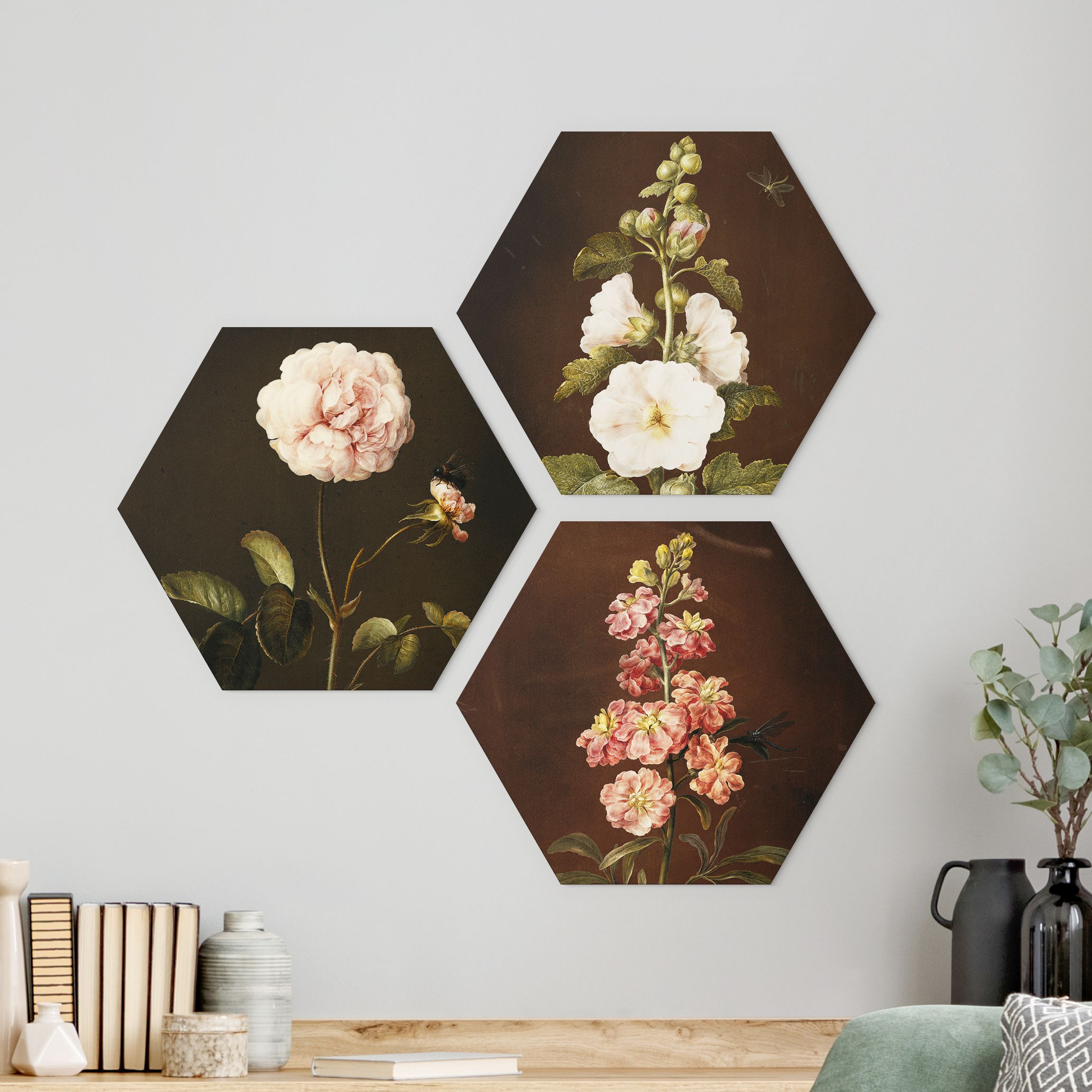 3-teiliges Hexagon-Forexbild Barbara Regina Dietzsch - Rosen und Levkkoje