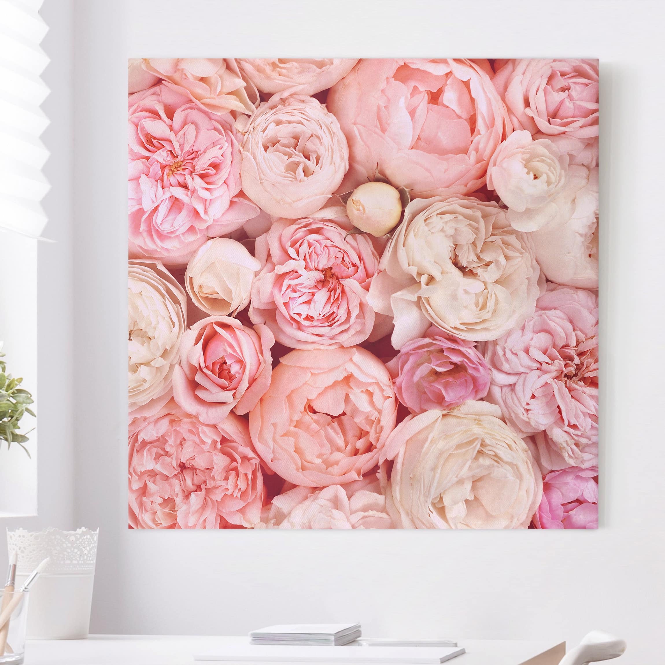 Leinwandbild - Quadrat Rosen Rosé Koralle Shabby