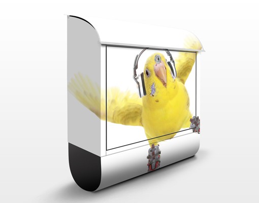 Briefkasten Skatesittich