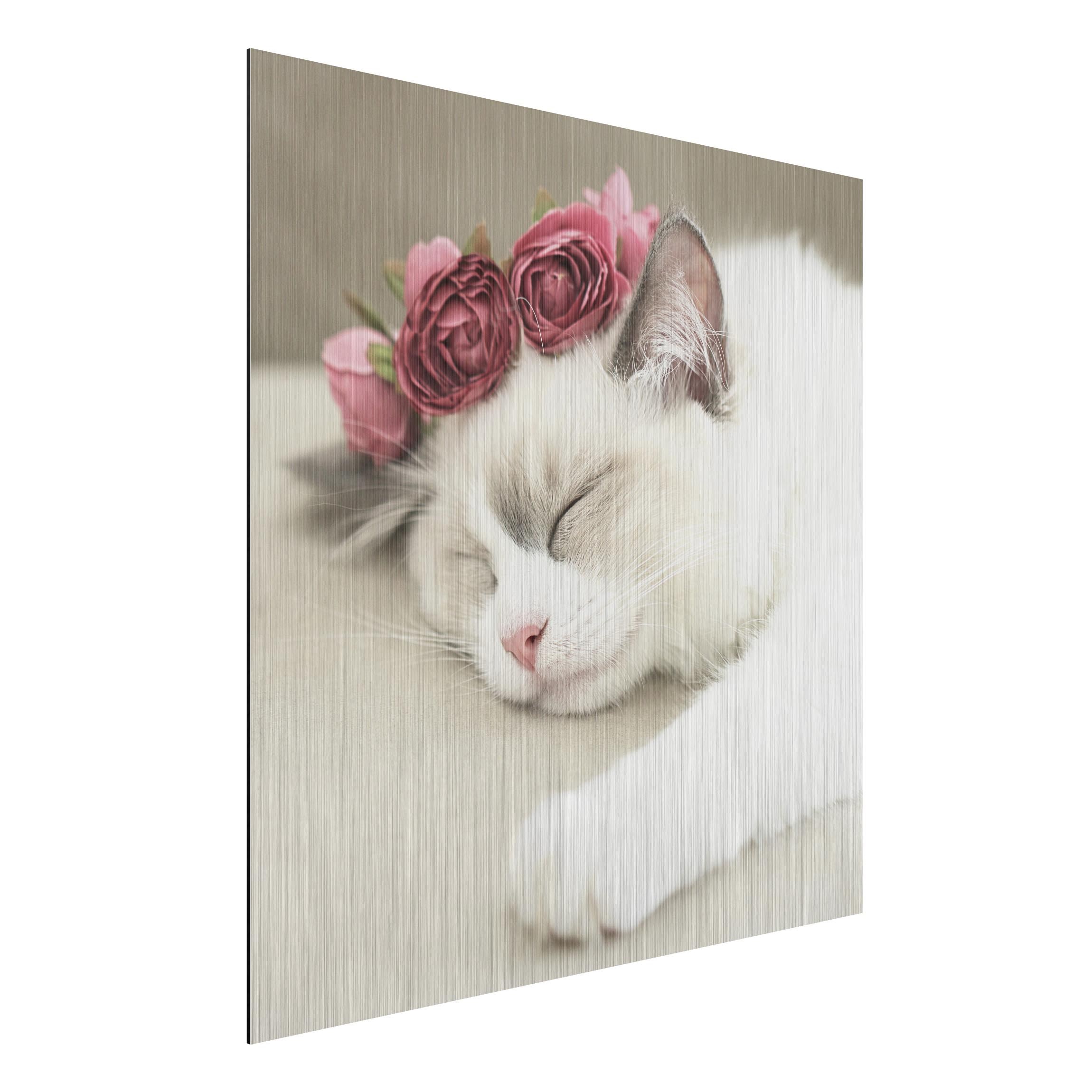 Alu-Dibond Outdoor Bild Schlafende Katze mit Rosen