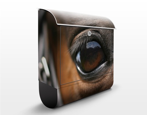 Briefkasten Horse Eye
