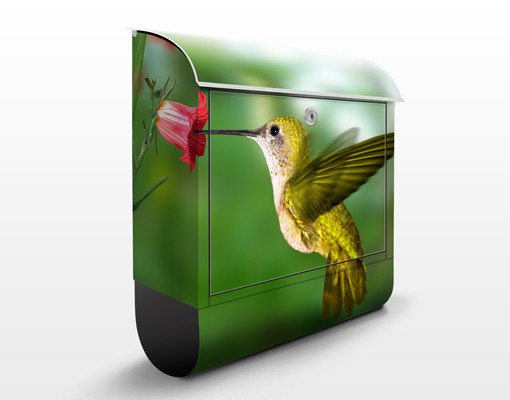 Briefkasten Kolibri und Blüte