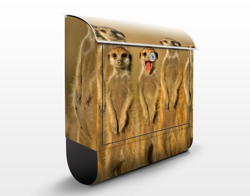 Briefkasten Meerkat Family