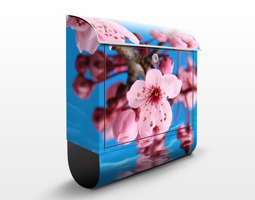 Briefkasten Kirschblüte