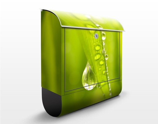 Briefkasten Morning Dew