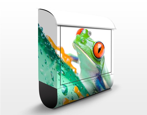 Briefkasten Frog