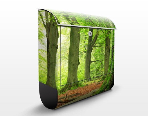 Briefkasten Mighty Beech Trees