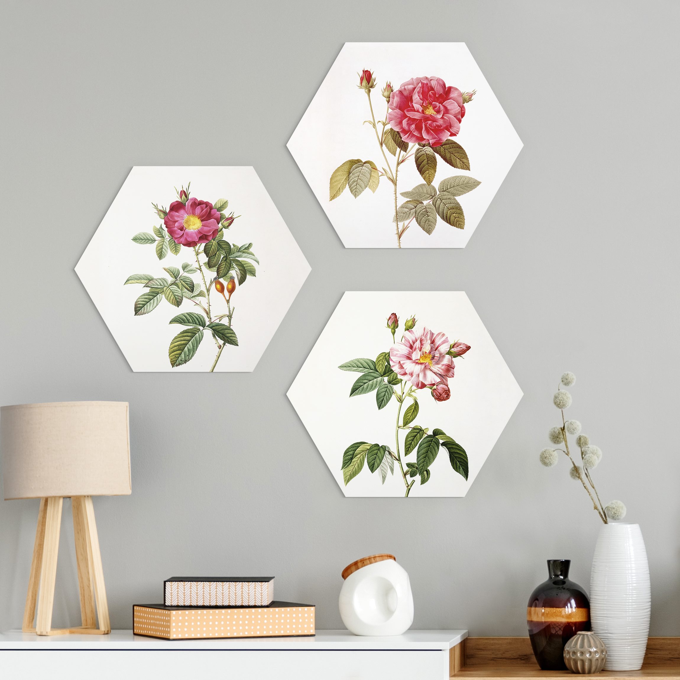 3-teiliges Hexagon-Alu-Dibond Bild Pierre Joseph Redouté - Rosen