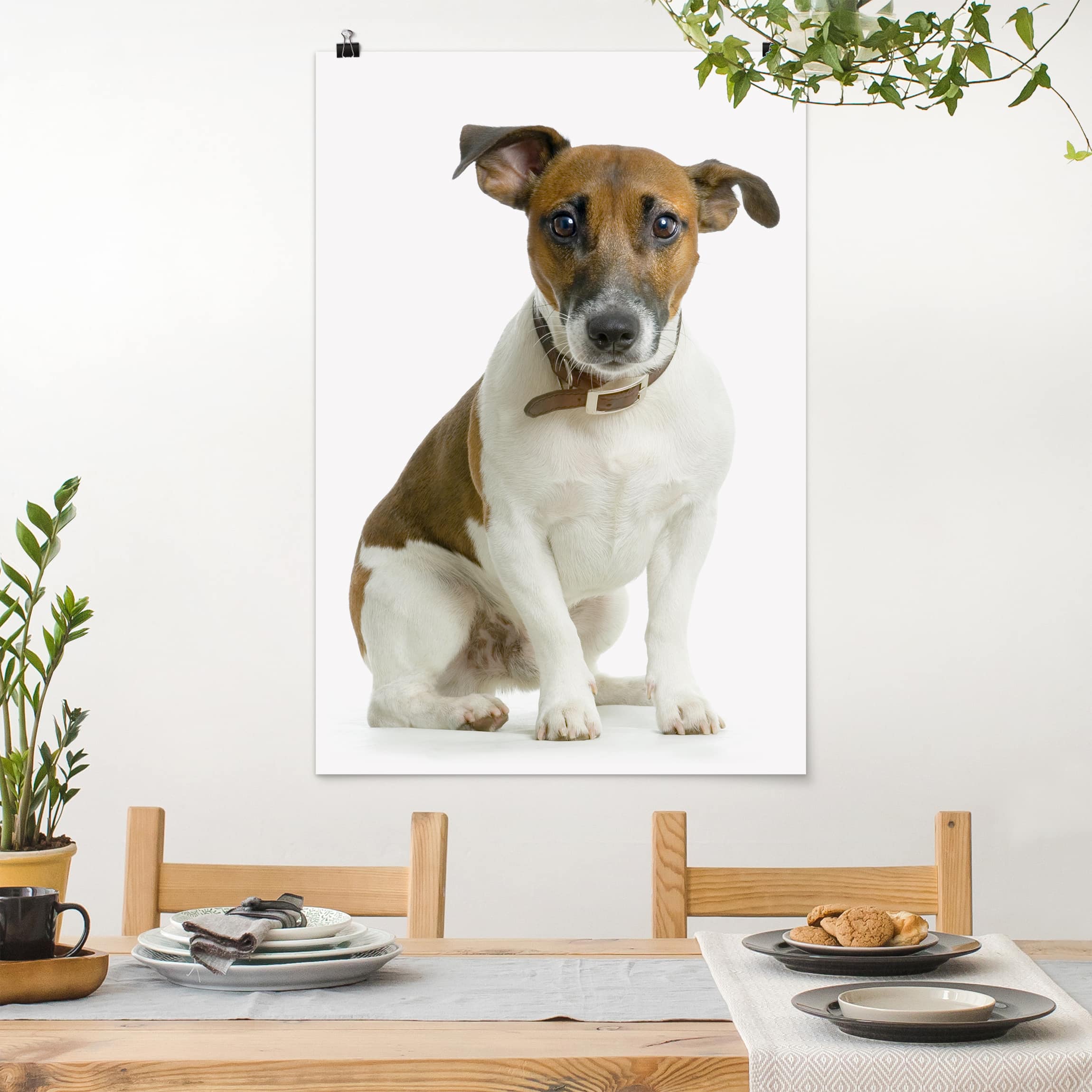 Poster - Hochformat Dackelblick