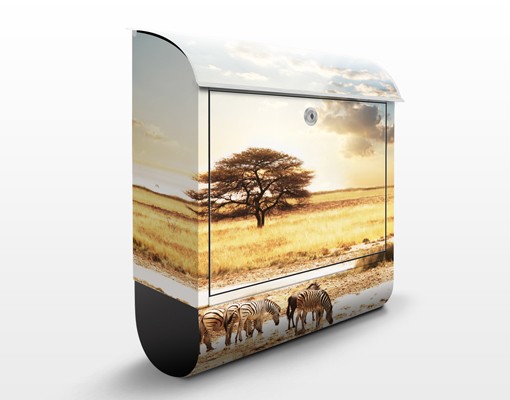 Briefkasten Das Leben der Zebras