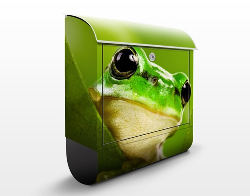 Briefkasten Wetterfrosch