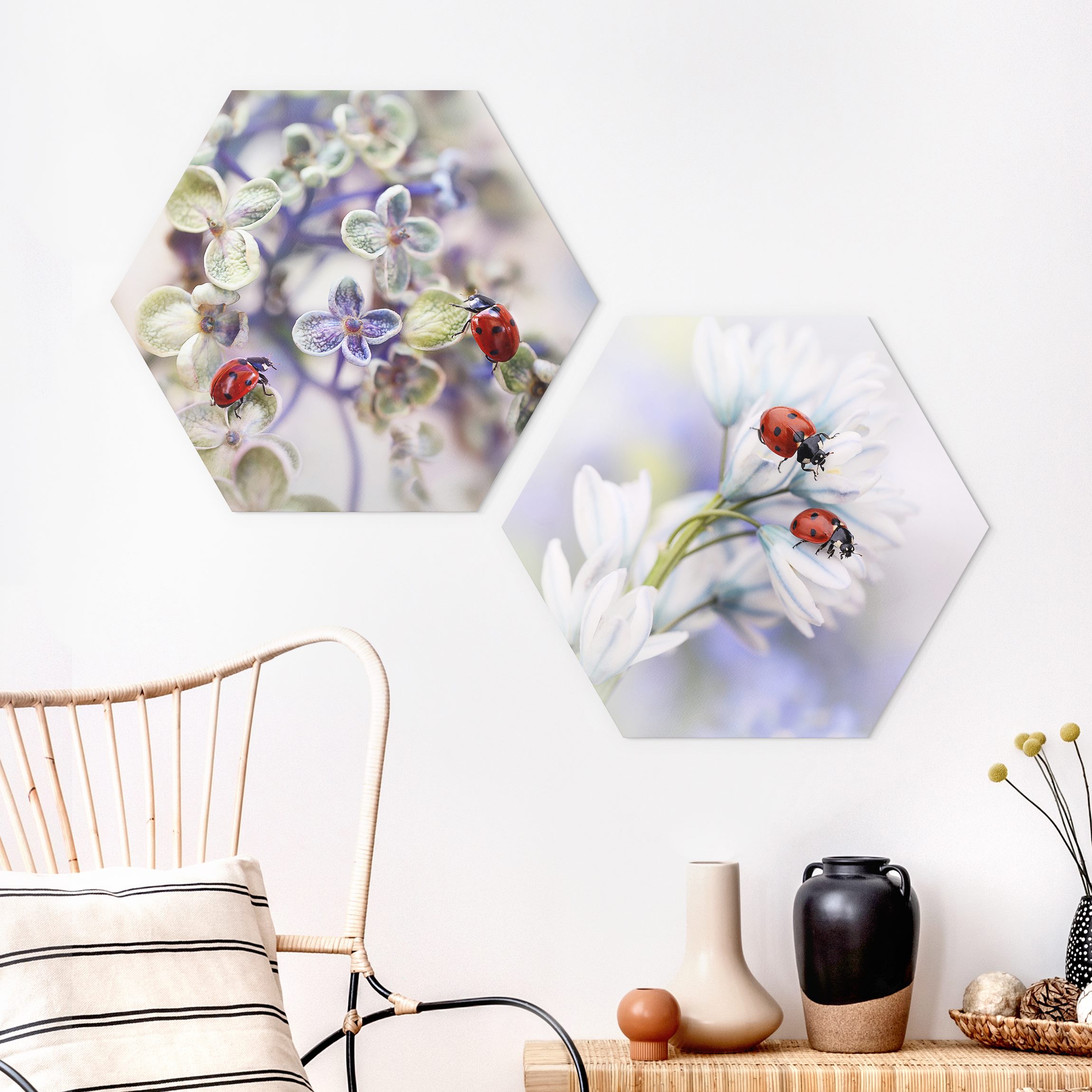 2-teiliges Hexagon-Forexbild Marienkäfer auf Blüten