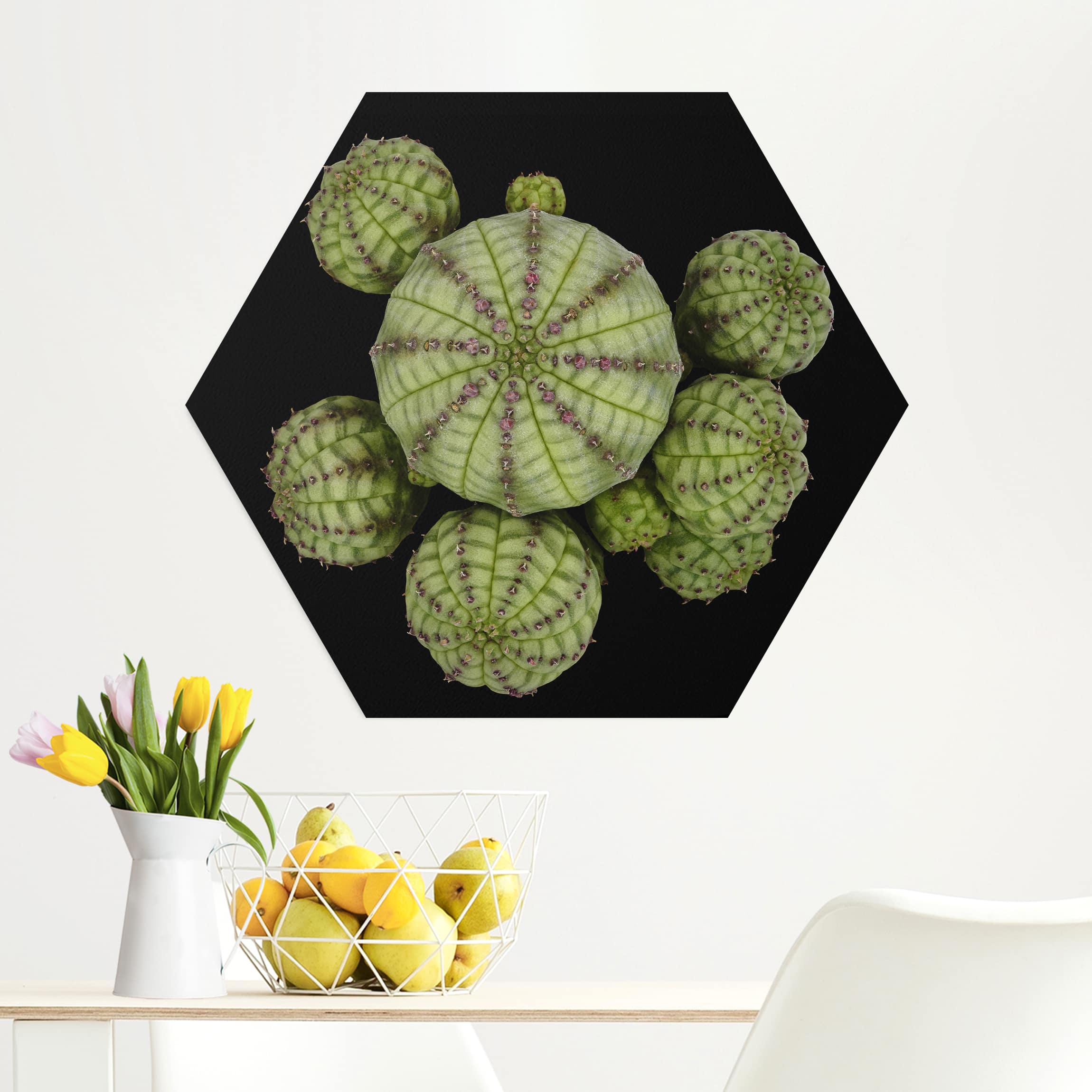 Hexagon-Alu-Dibond Bild Euphorbia - Seeigelwolfsmilch