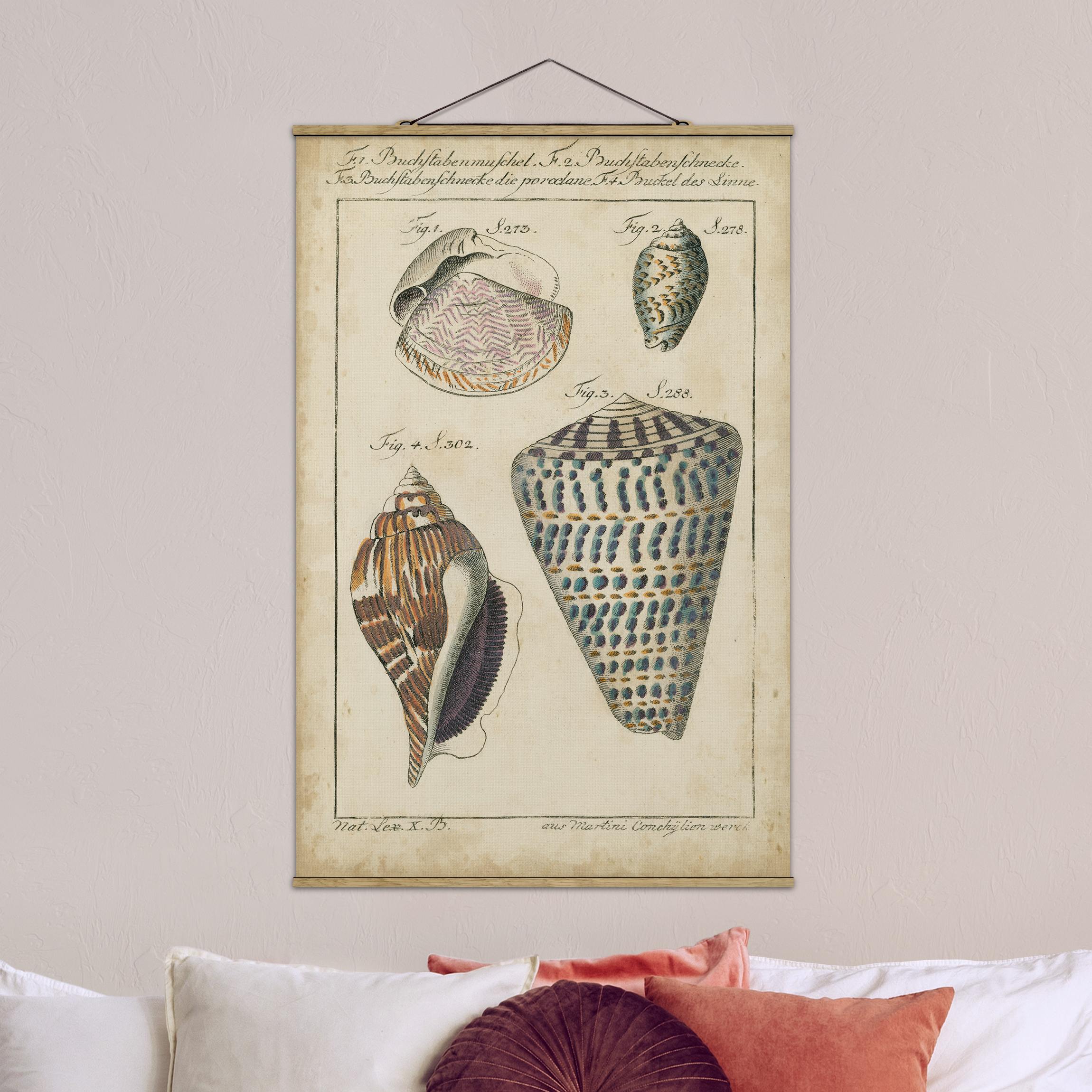 Stoffbild mit Posterleisten Vintage Muschel Zeichnung Bunte Muster