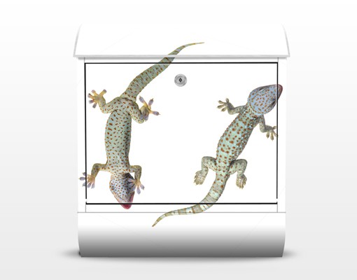 Briefkasten No.250 Neugierige Geckos